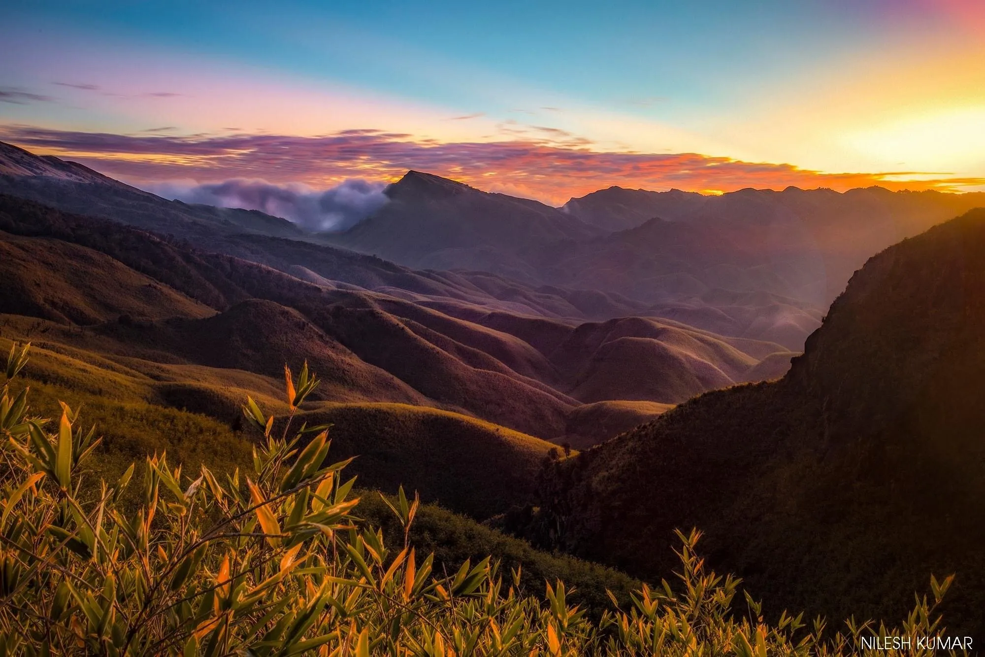 A evening in Dzukou Valley, Nagaland, India.