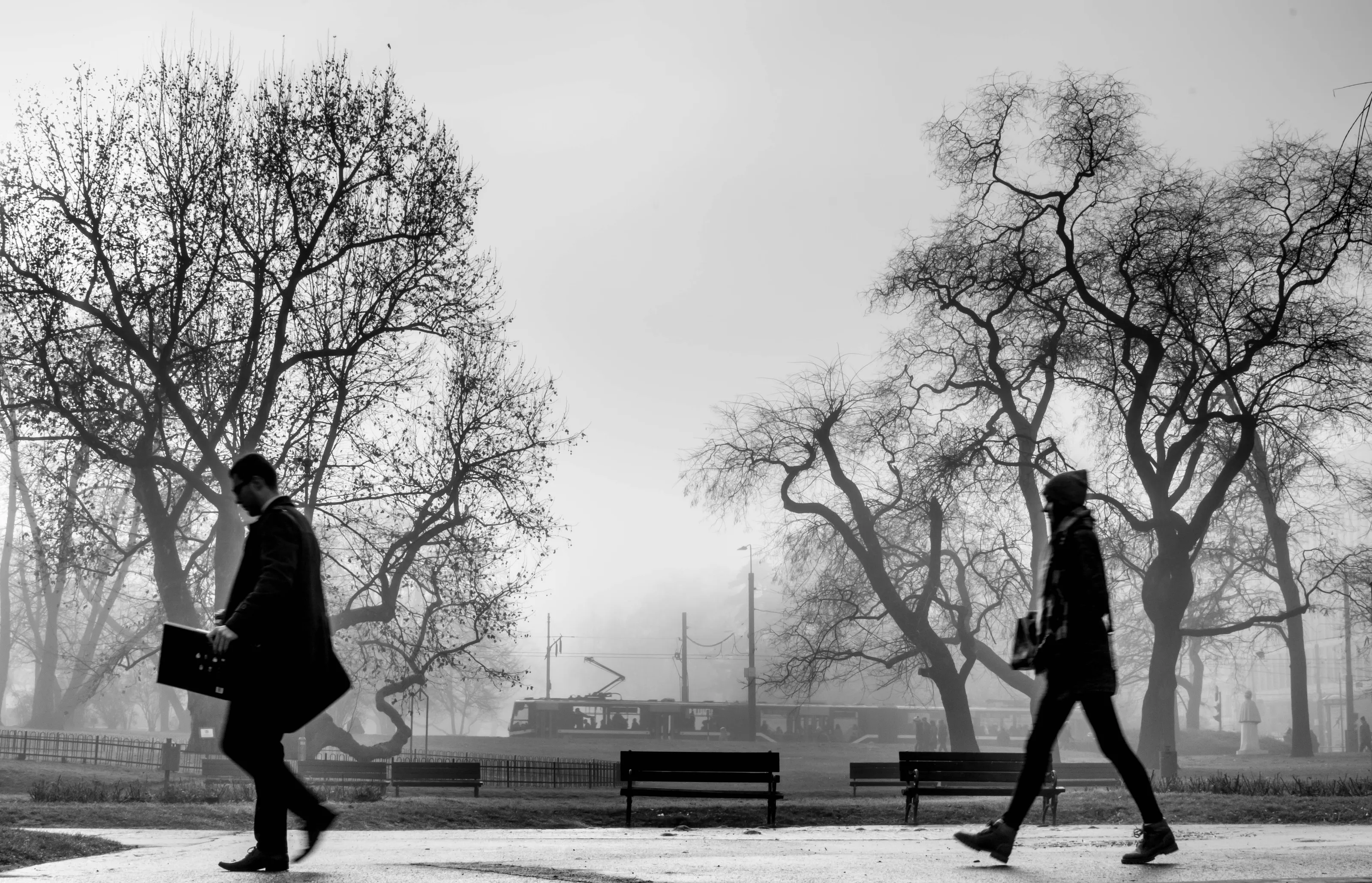 A beautiful fog to pass by