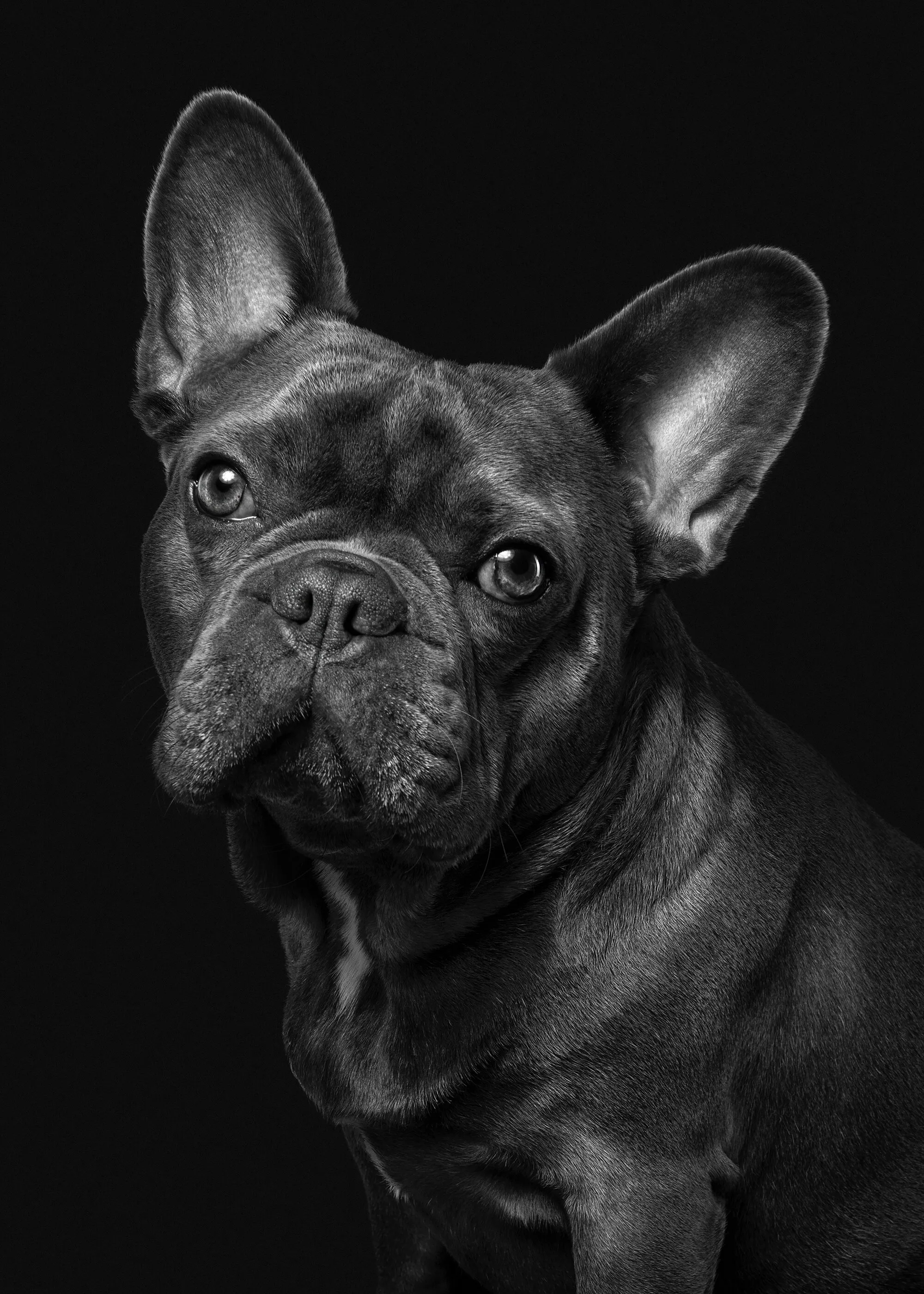 Dexter