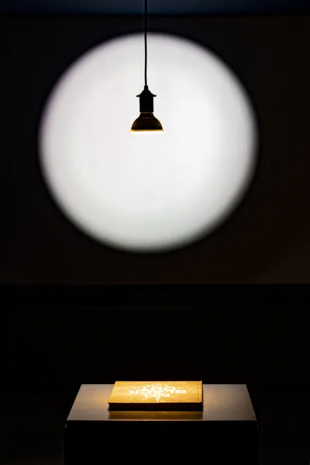 Entry 29105541