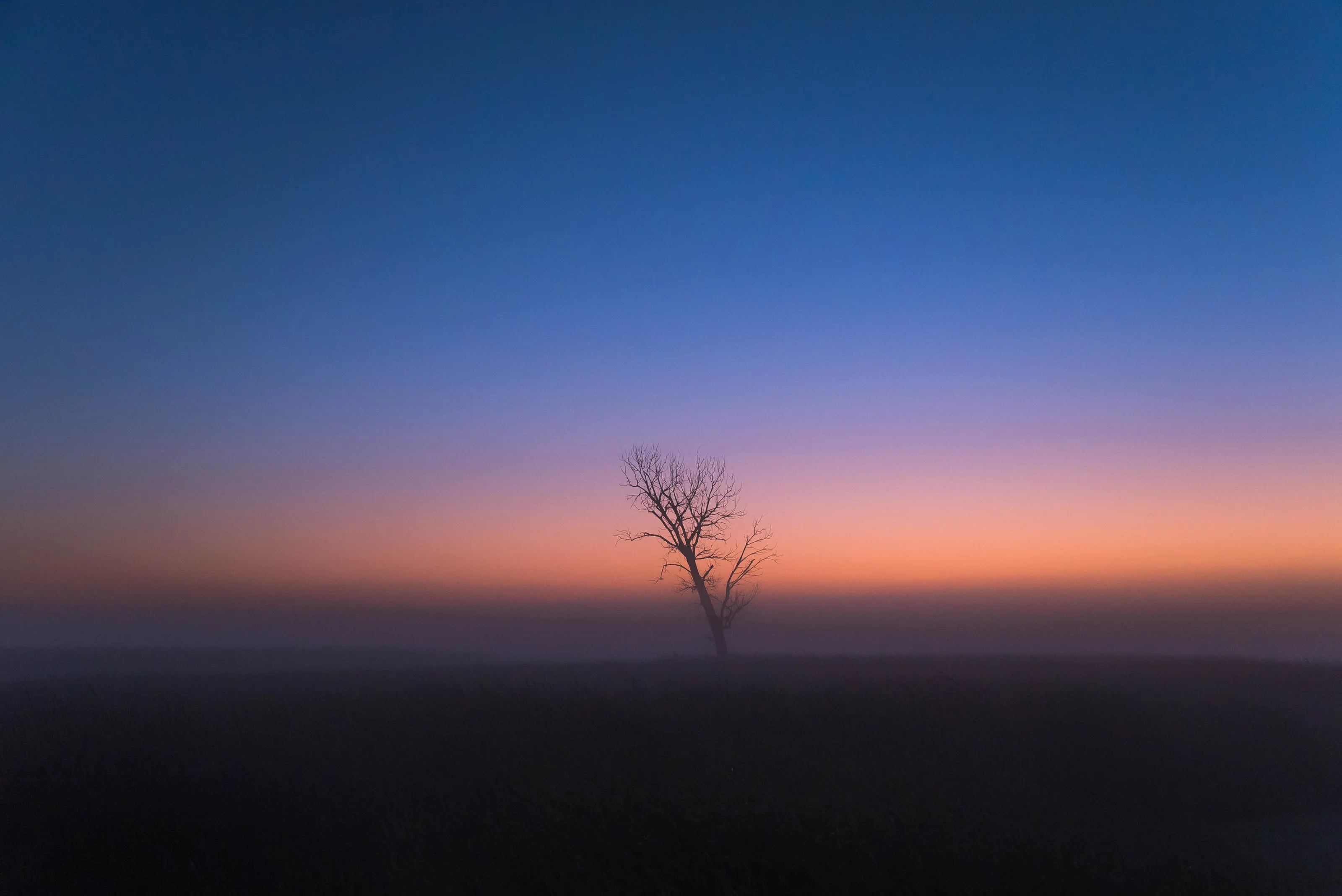In the mist