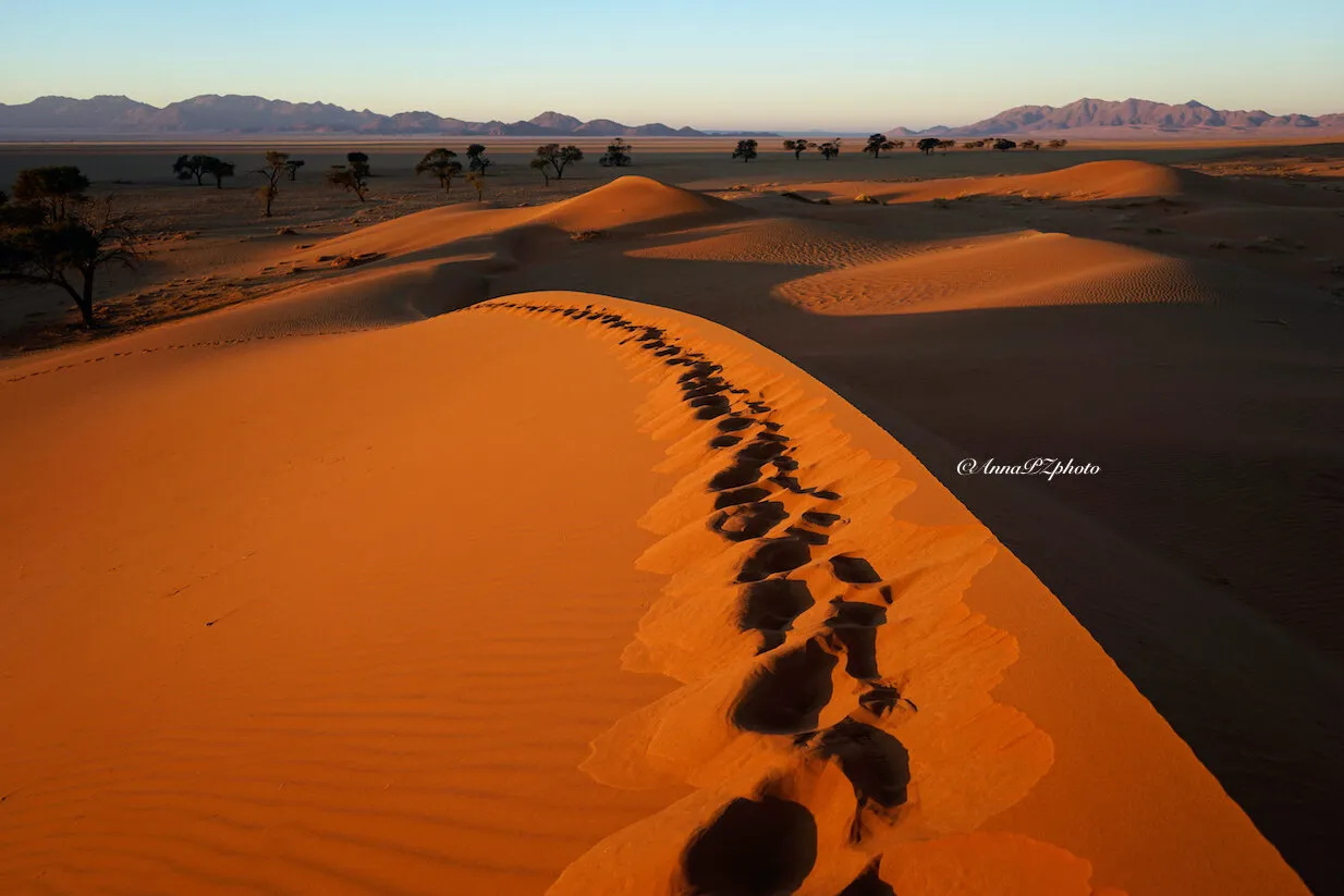 Walking in the desert