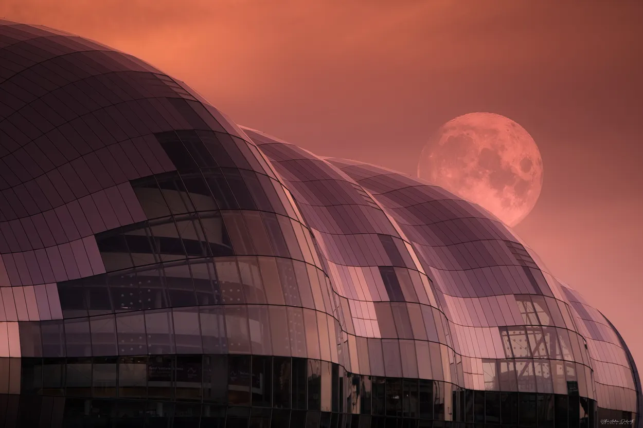 Moonlight over the Sage