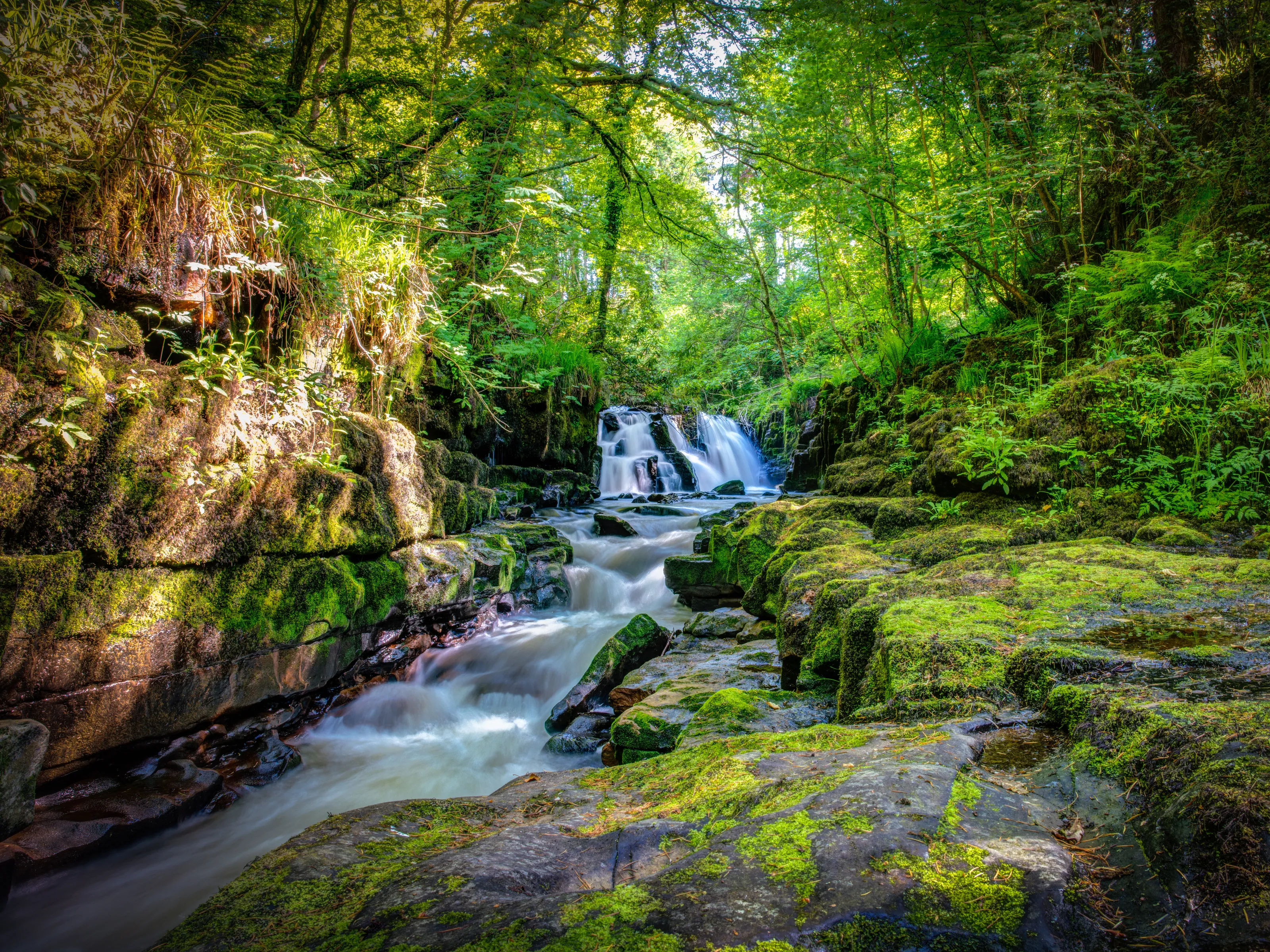 Clare Glens