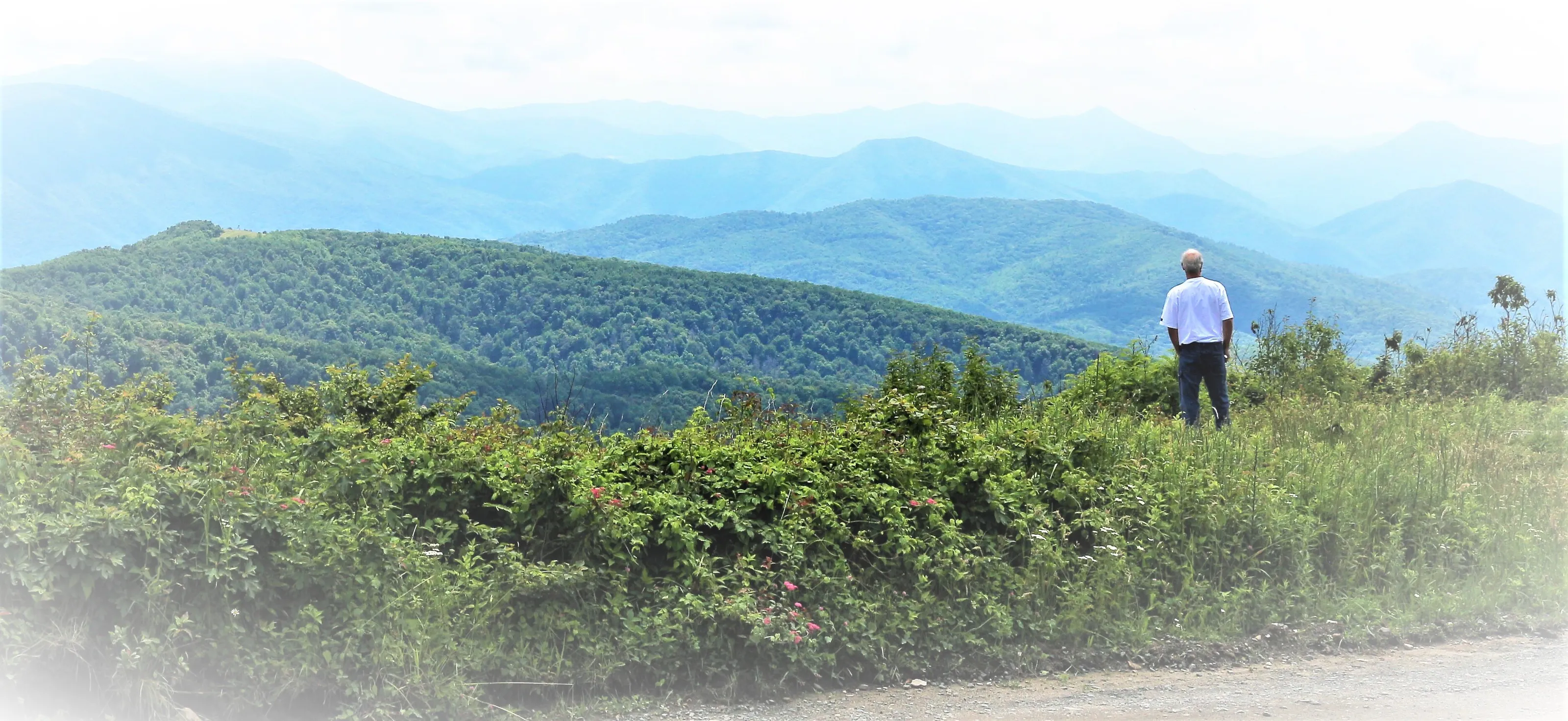Blue Ridge Mountains