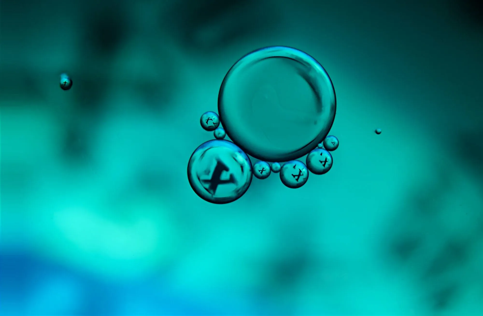 Banner image