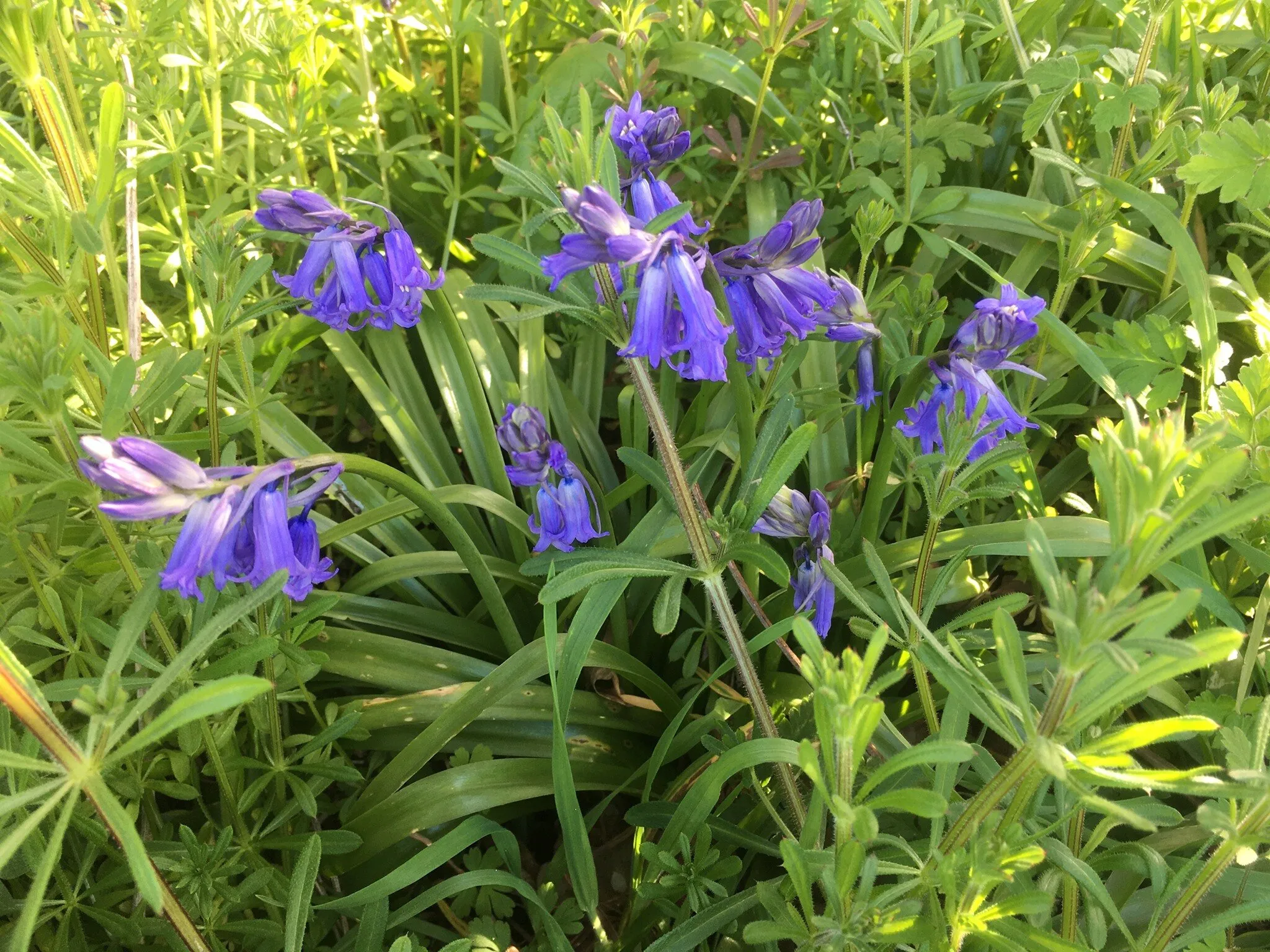 Spring has arrived