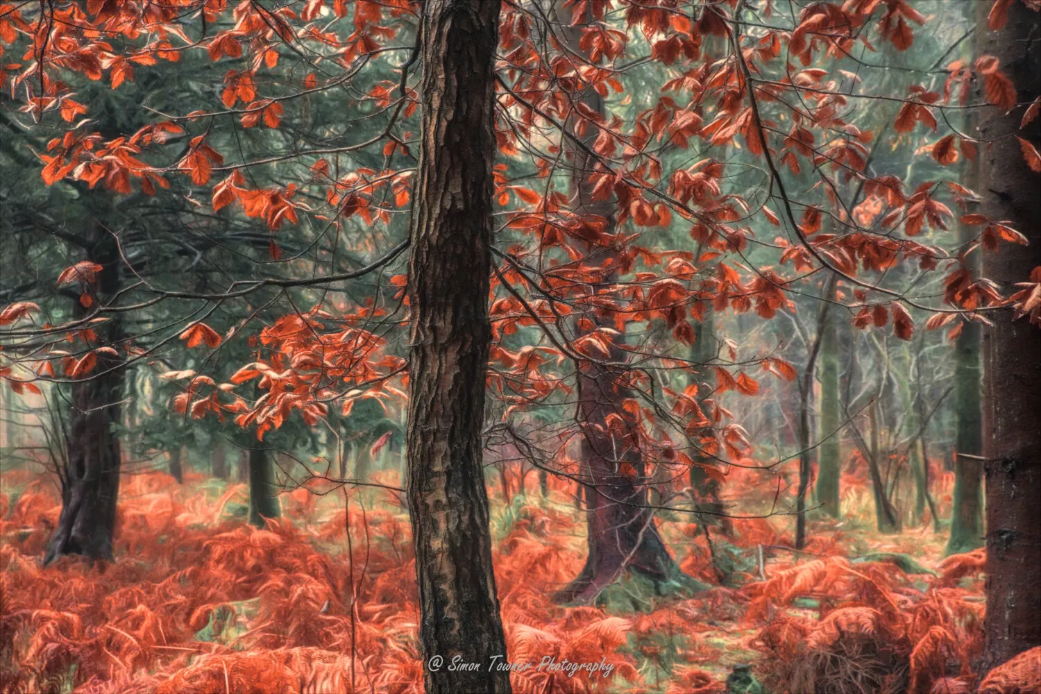 Autumn Leaves