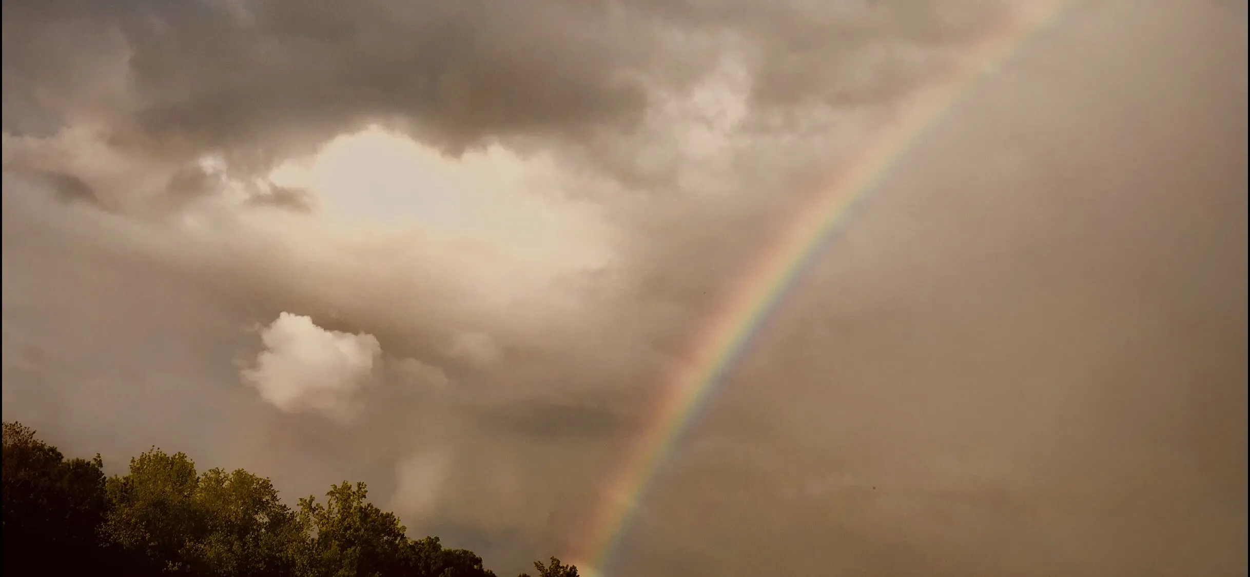 Rainbow Surprise