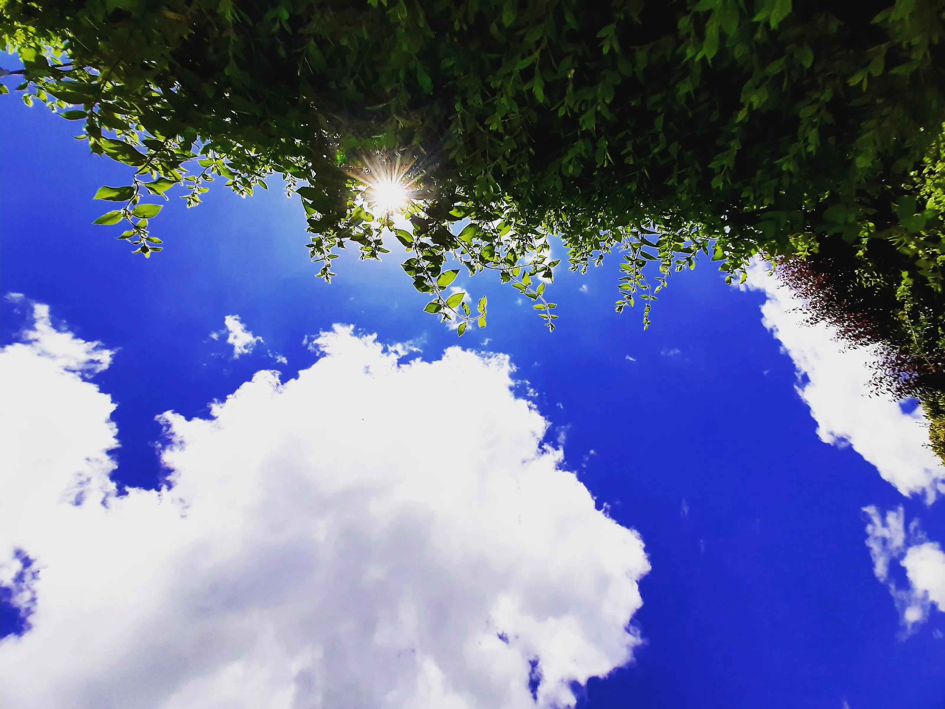 Look up