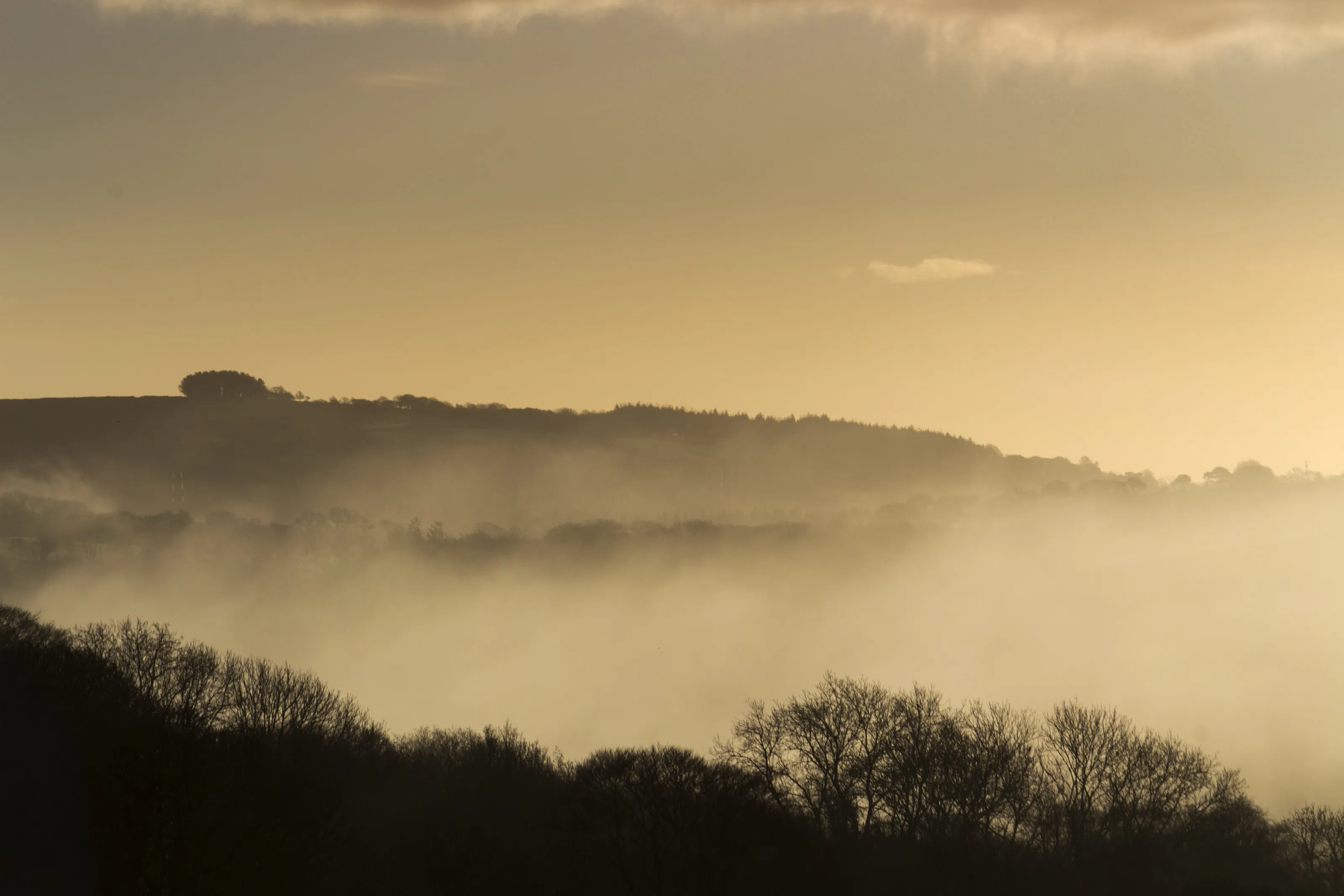 Warm misty sunrise