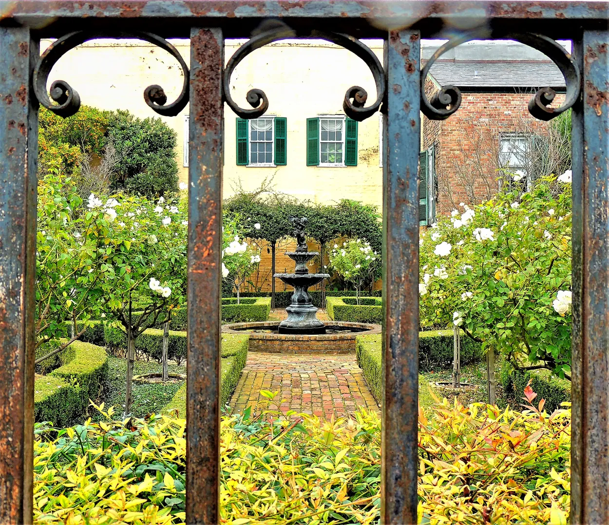Entry 6732292