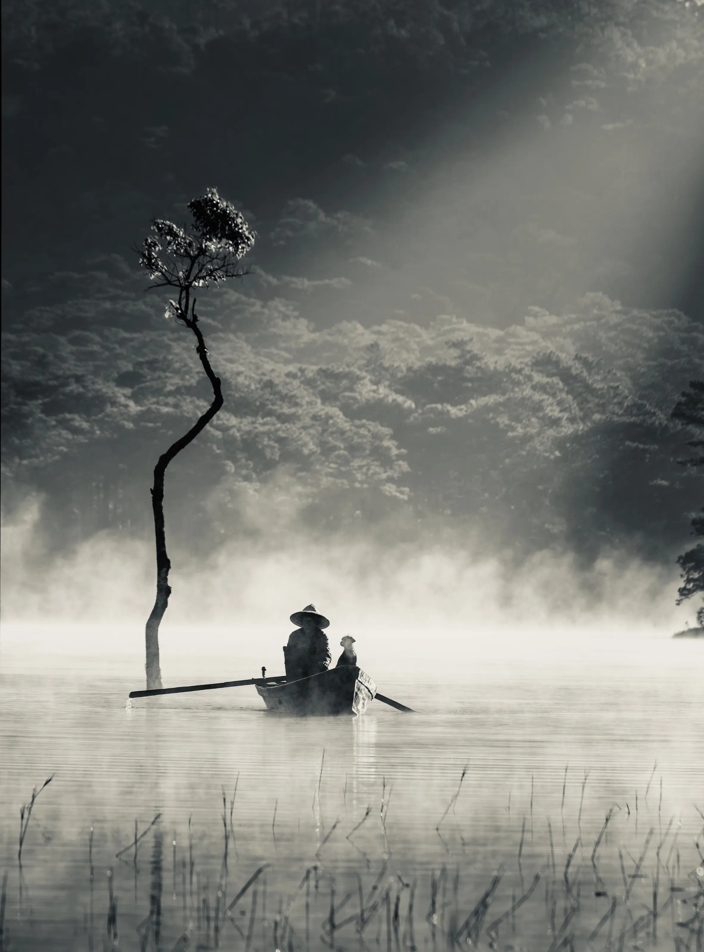 Loneliness in an early foggy morning