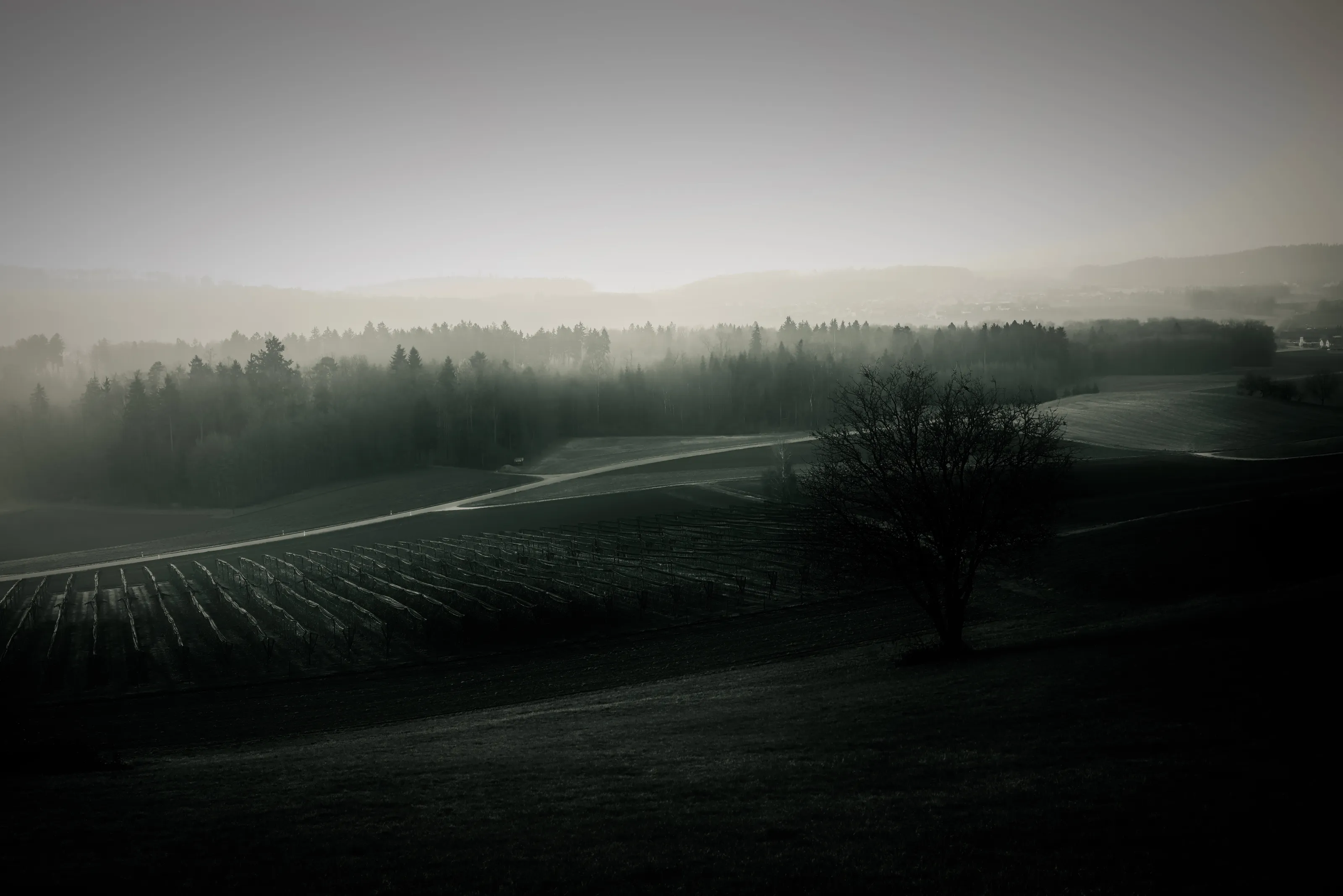 moody landscape