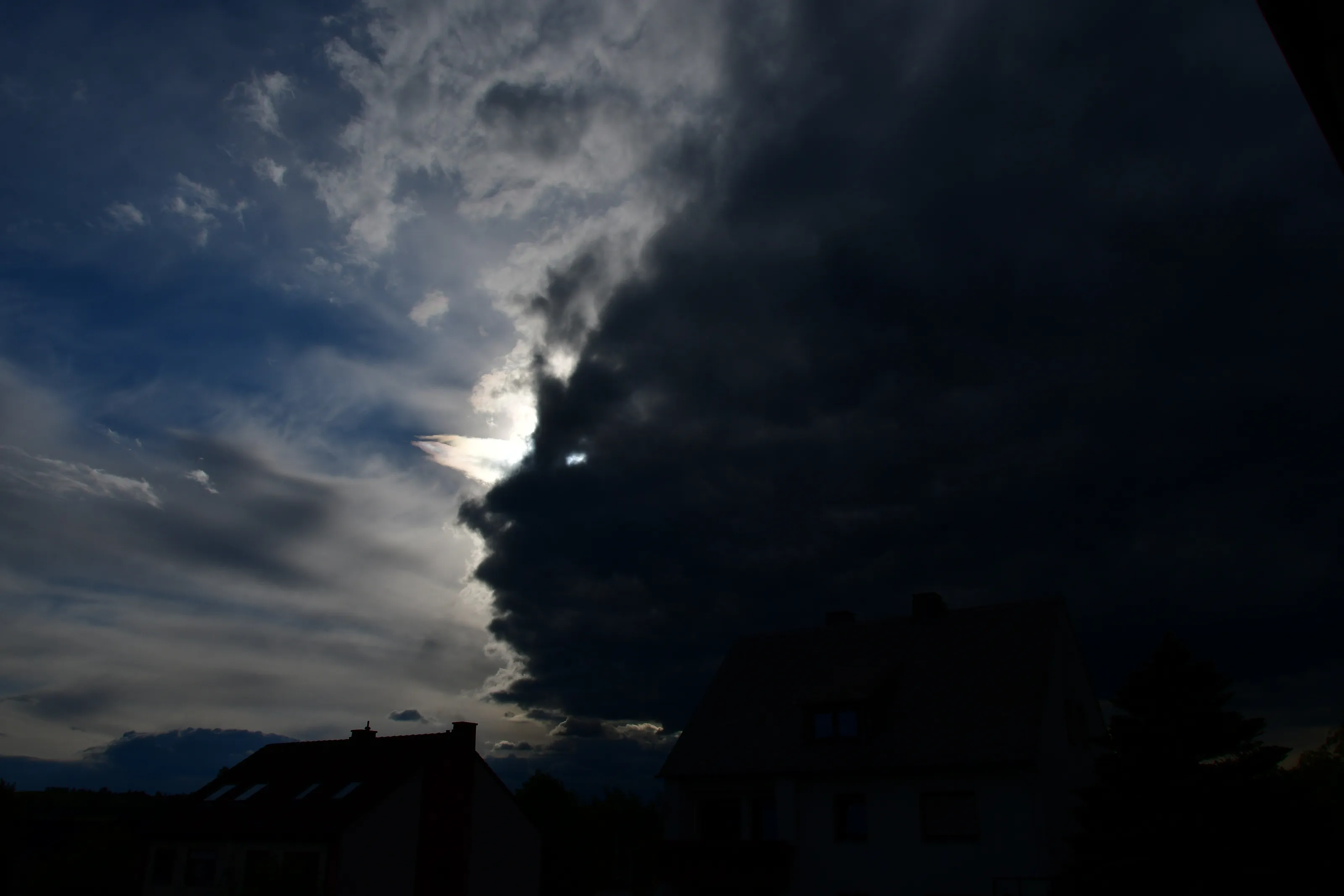 Zeus