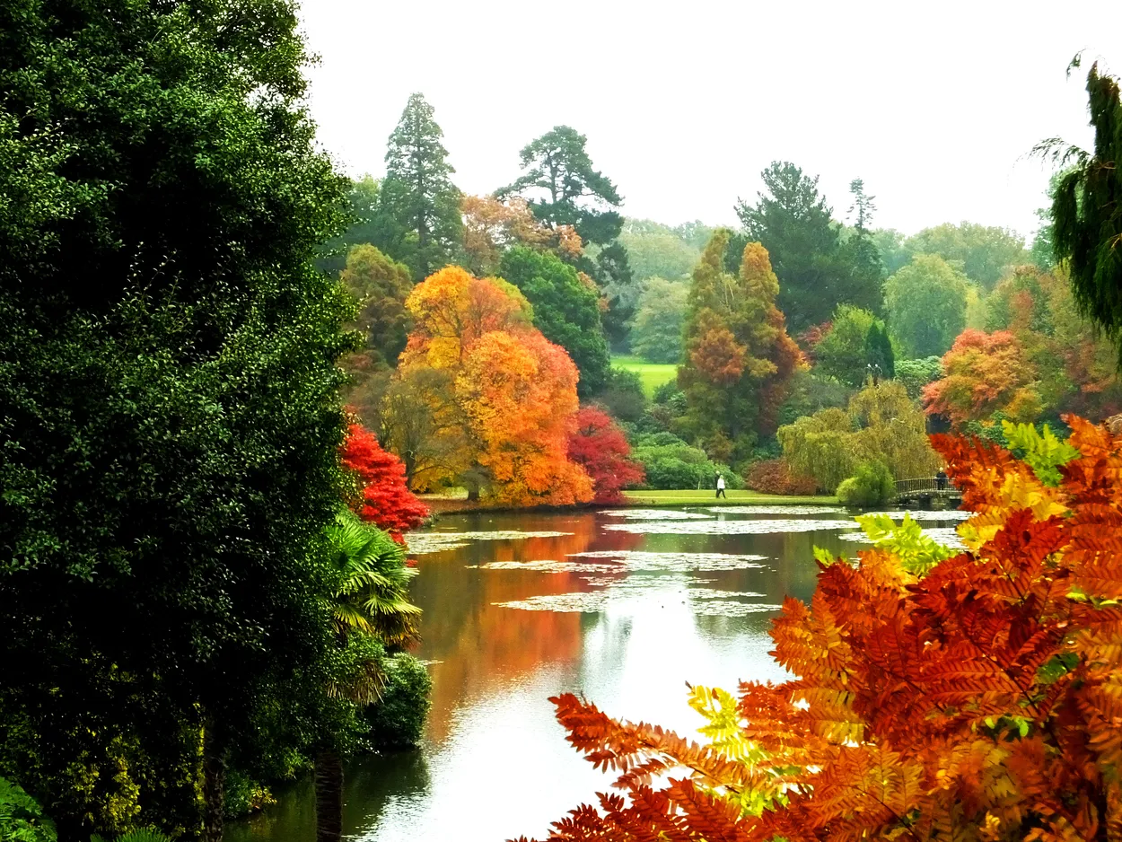 Entry 7523263