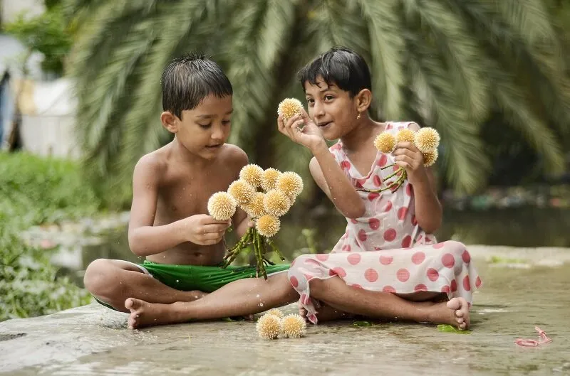 The children are playing with the first Kadam flower of Ashar monsoon