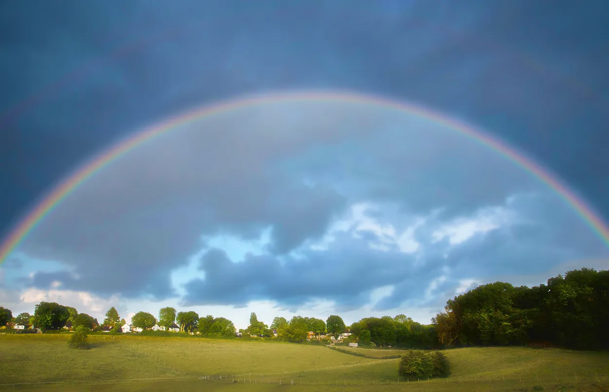 Entry 9455396
