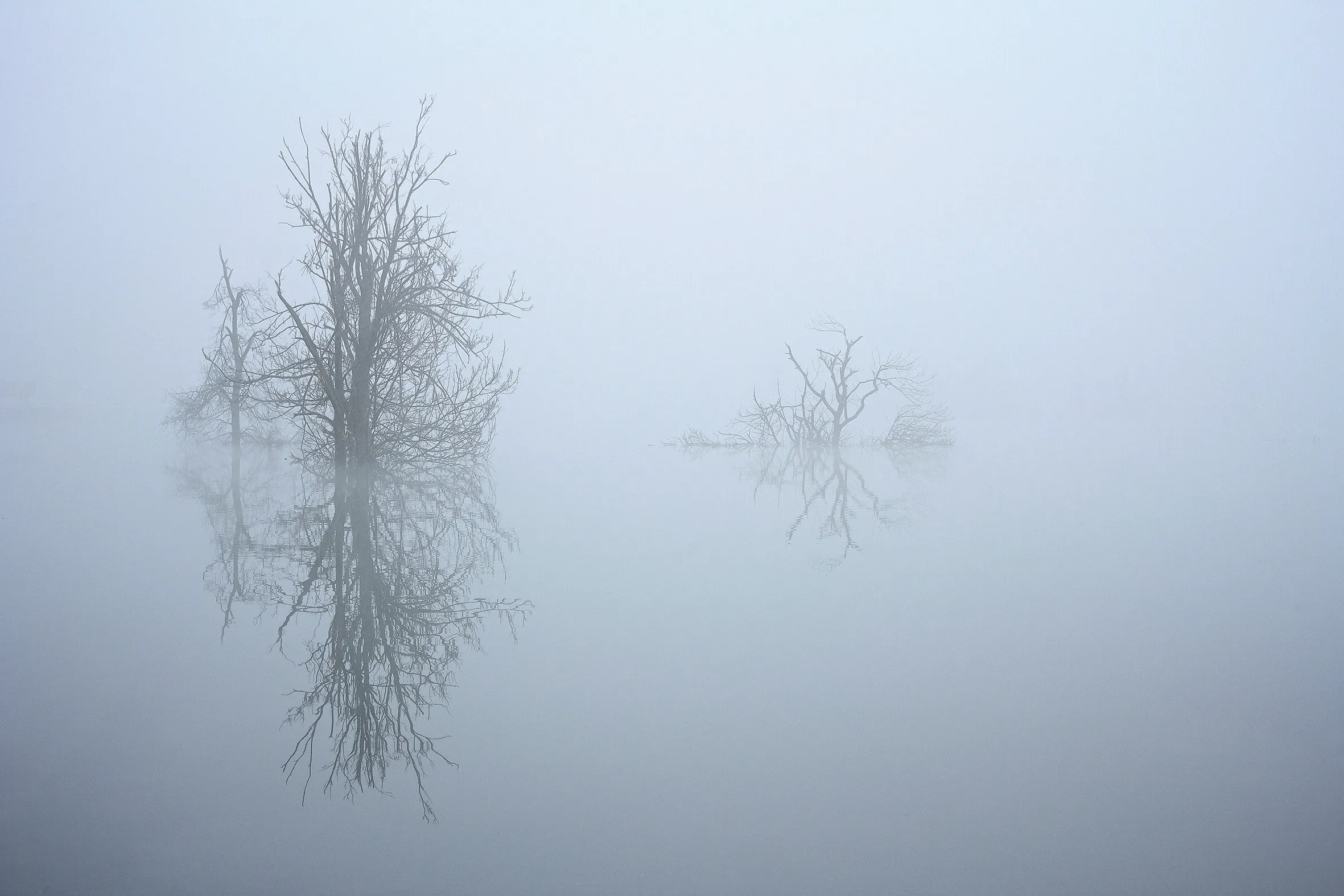 Tranquillity
