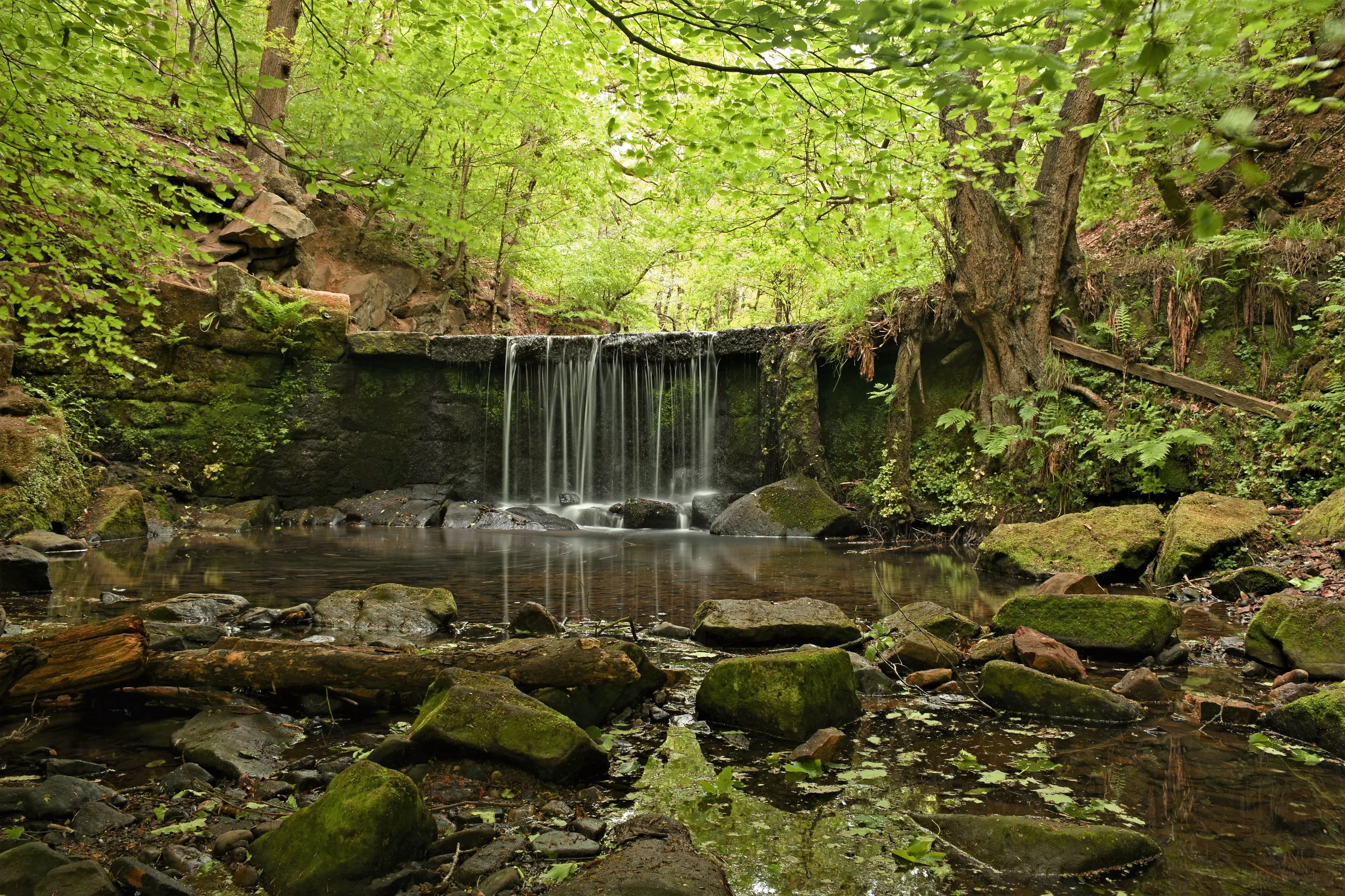 Knypersley Waterfall