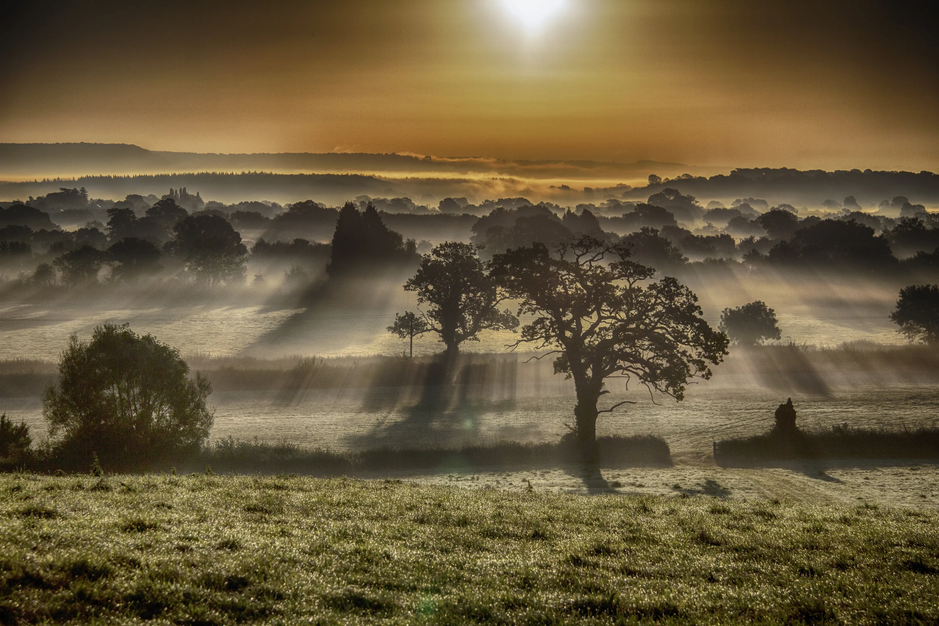 Misty Morning