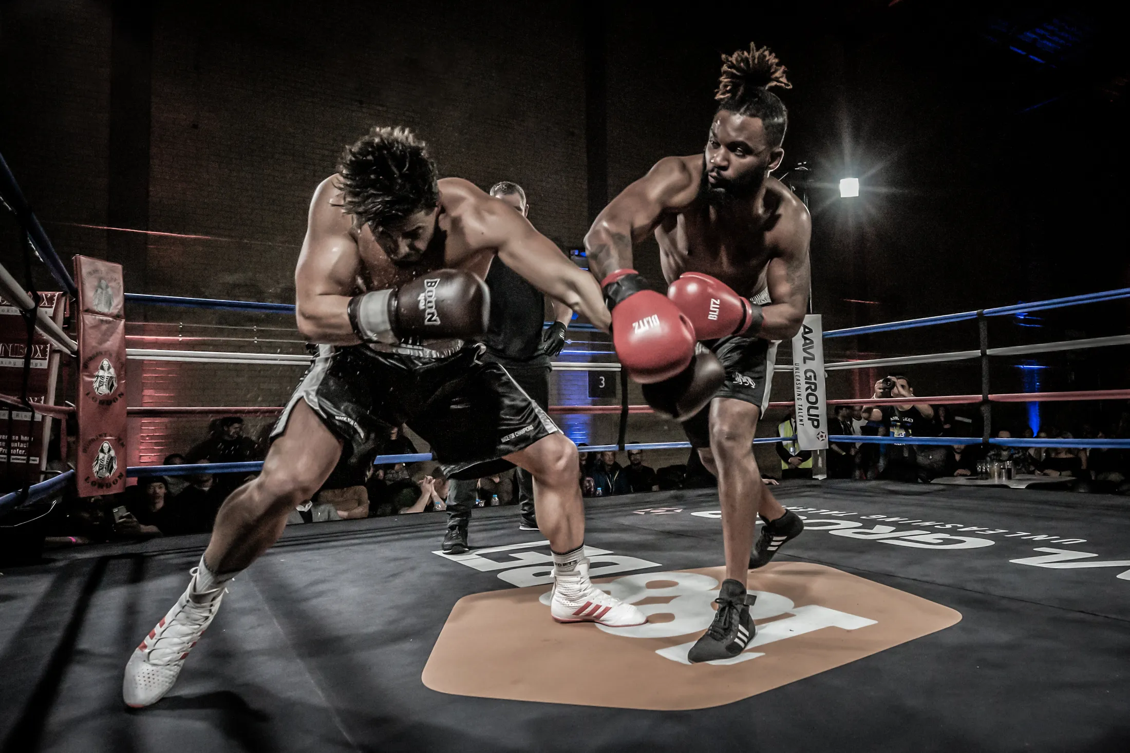 Knock Out!!!