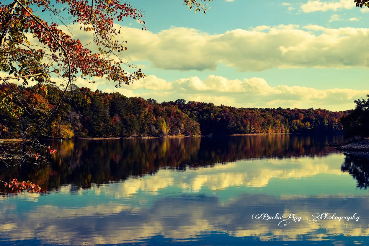 Entry 350763