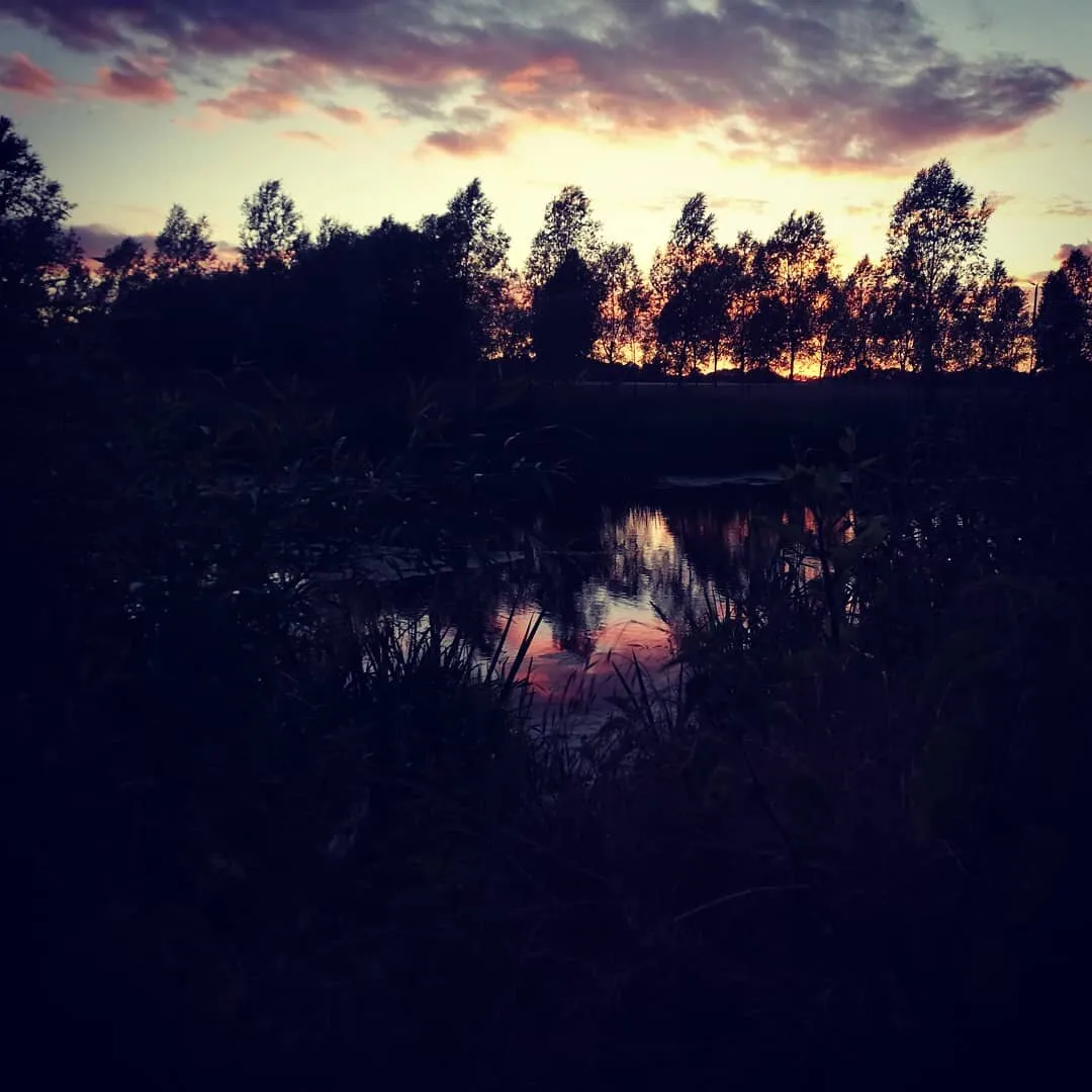 Sunset on the river