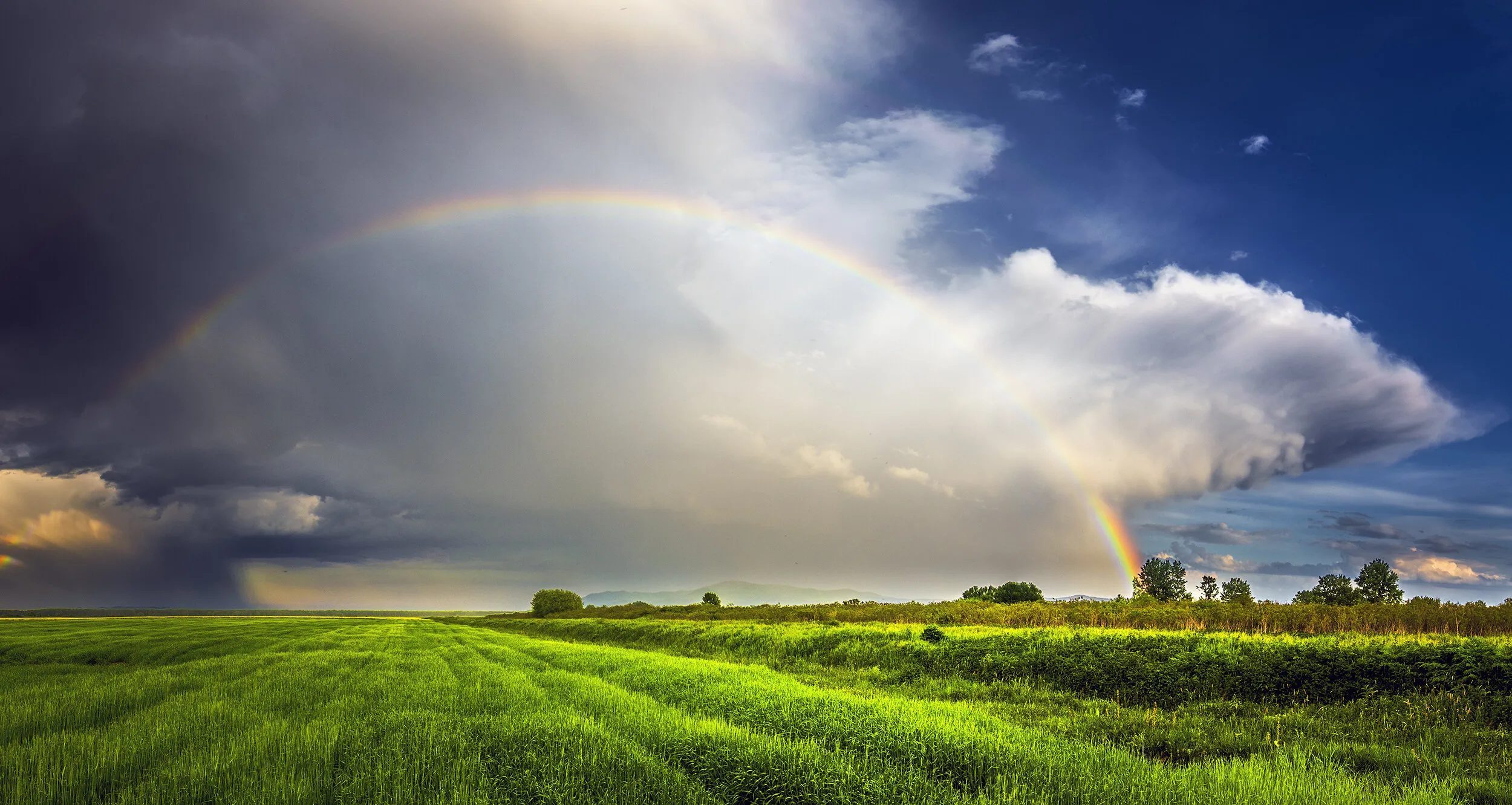 After the Storm