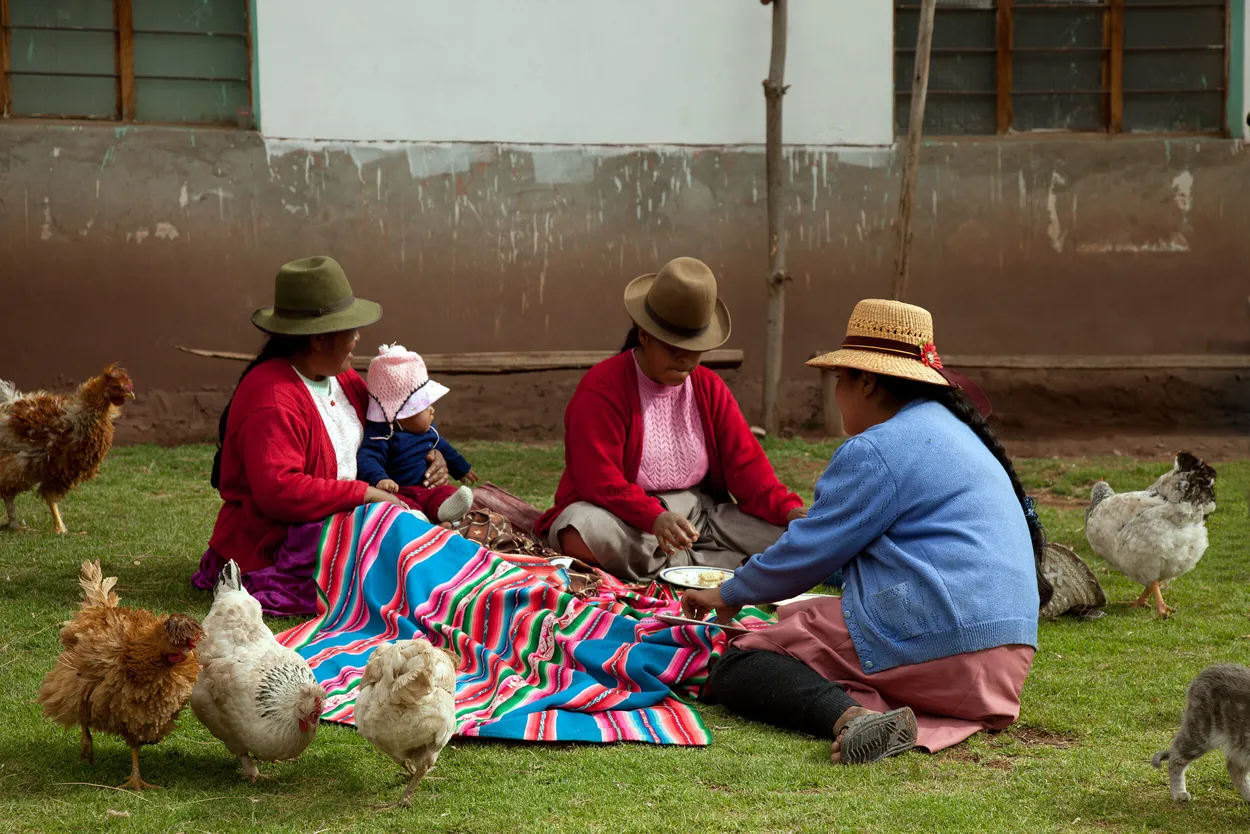 Entry 6794098