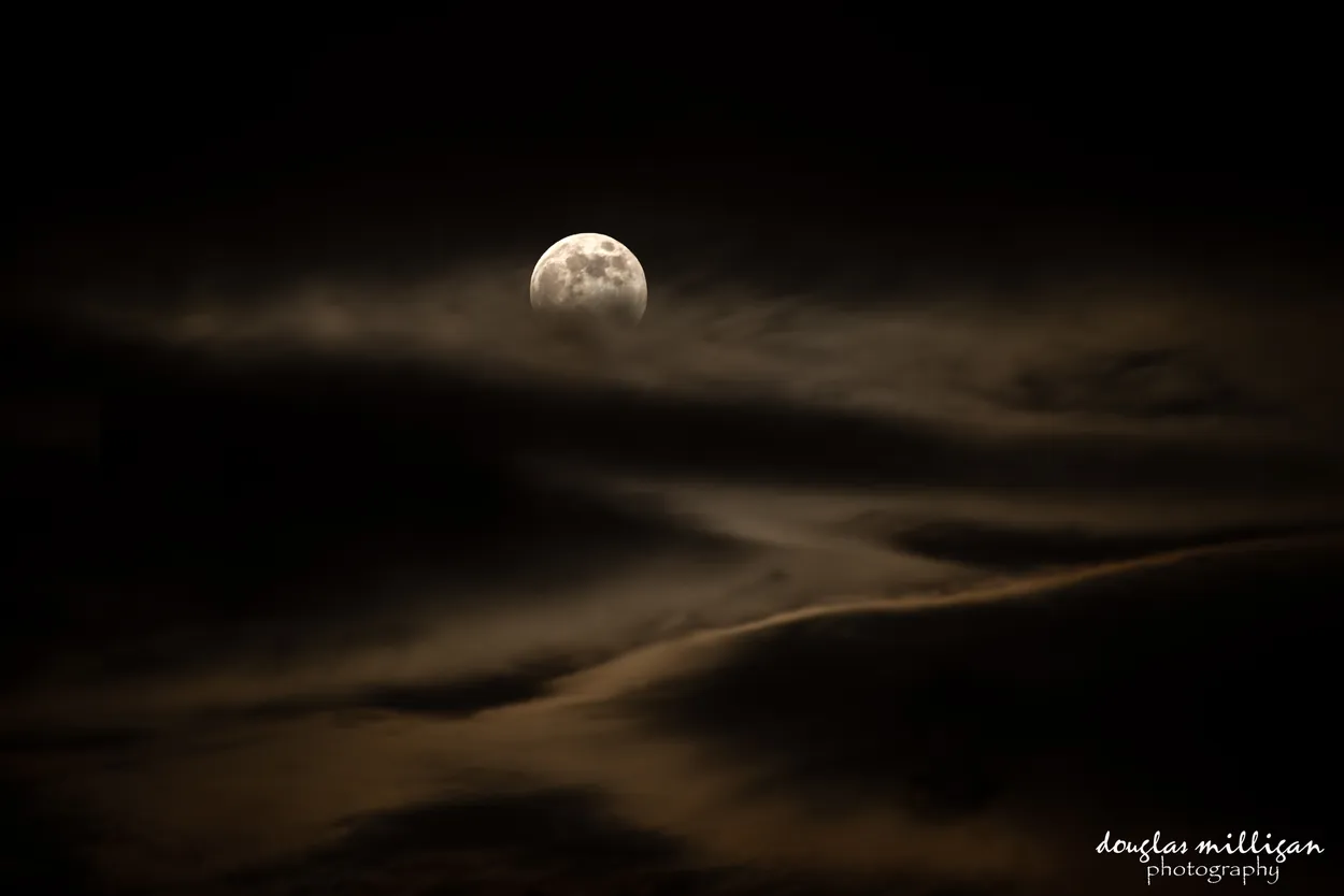 Entry 6795601