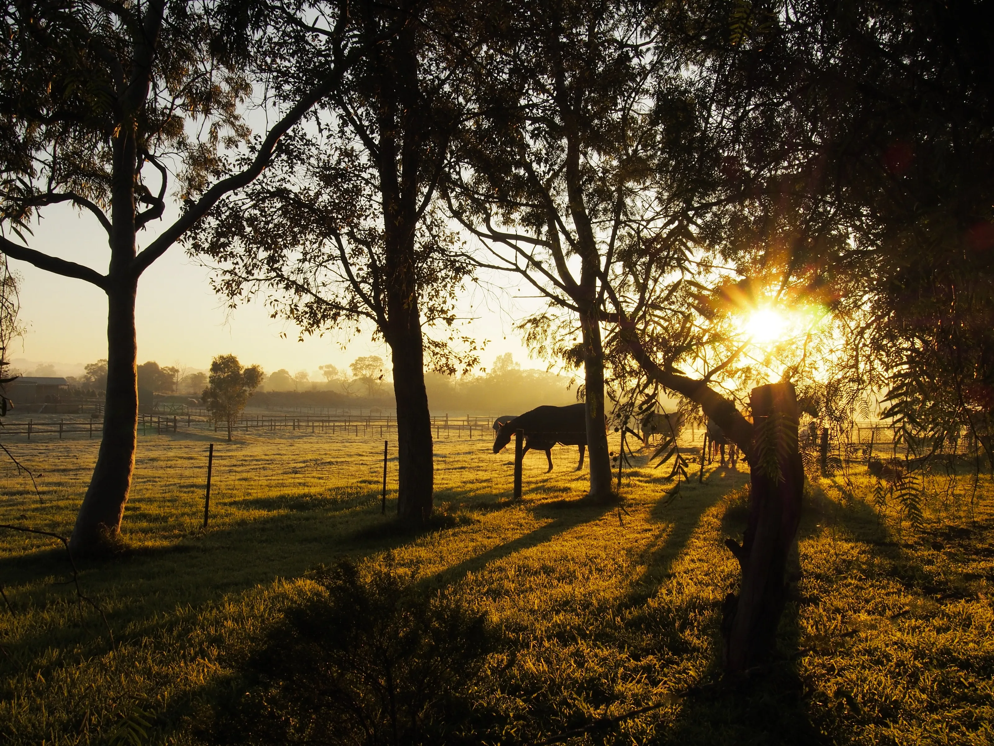 Rural Sunrise