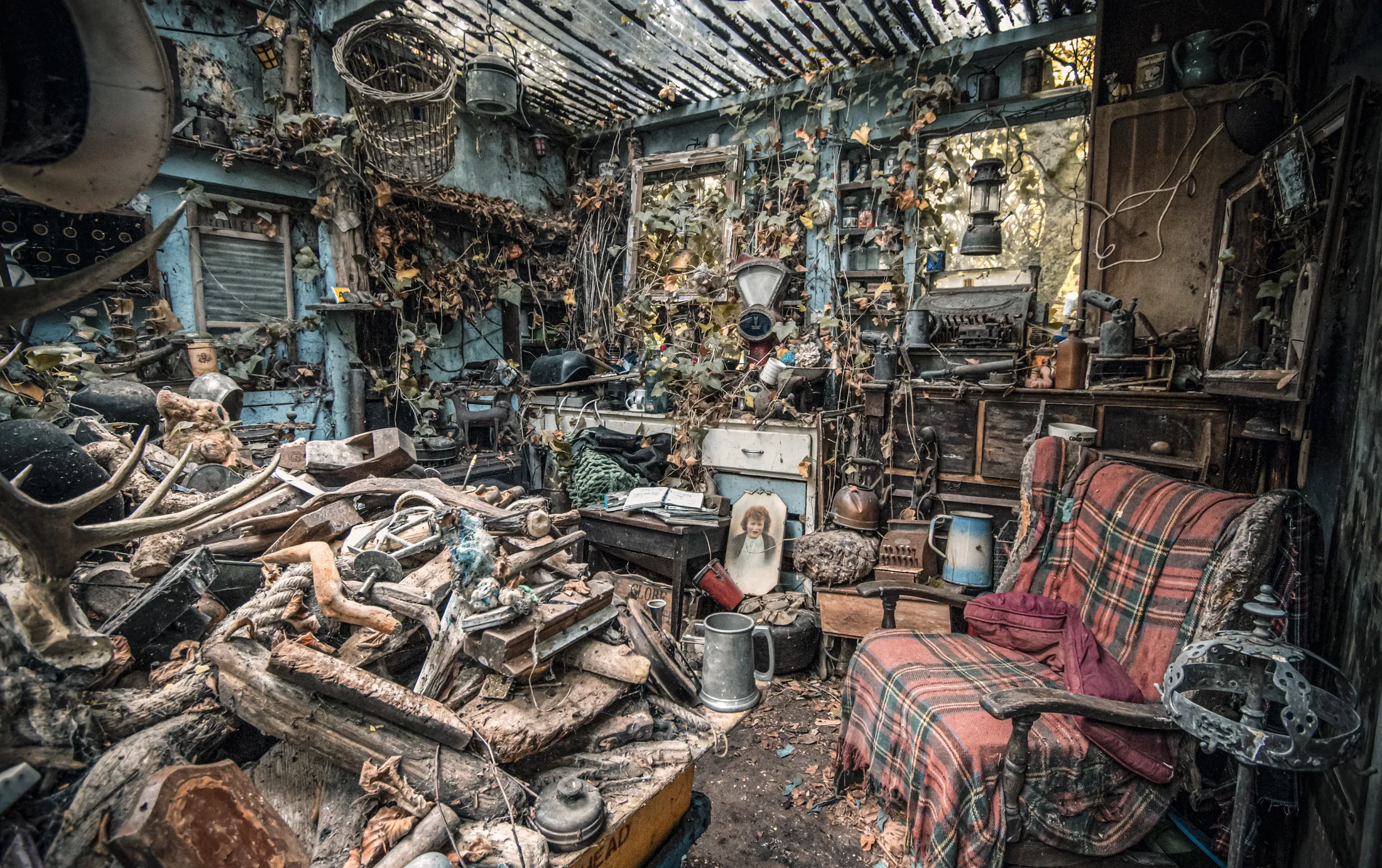 Inside The Shed