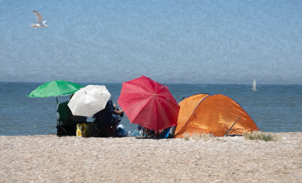 Entry 20864926