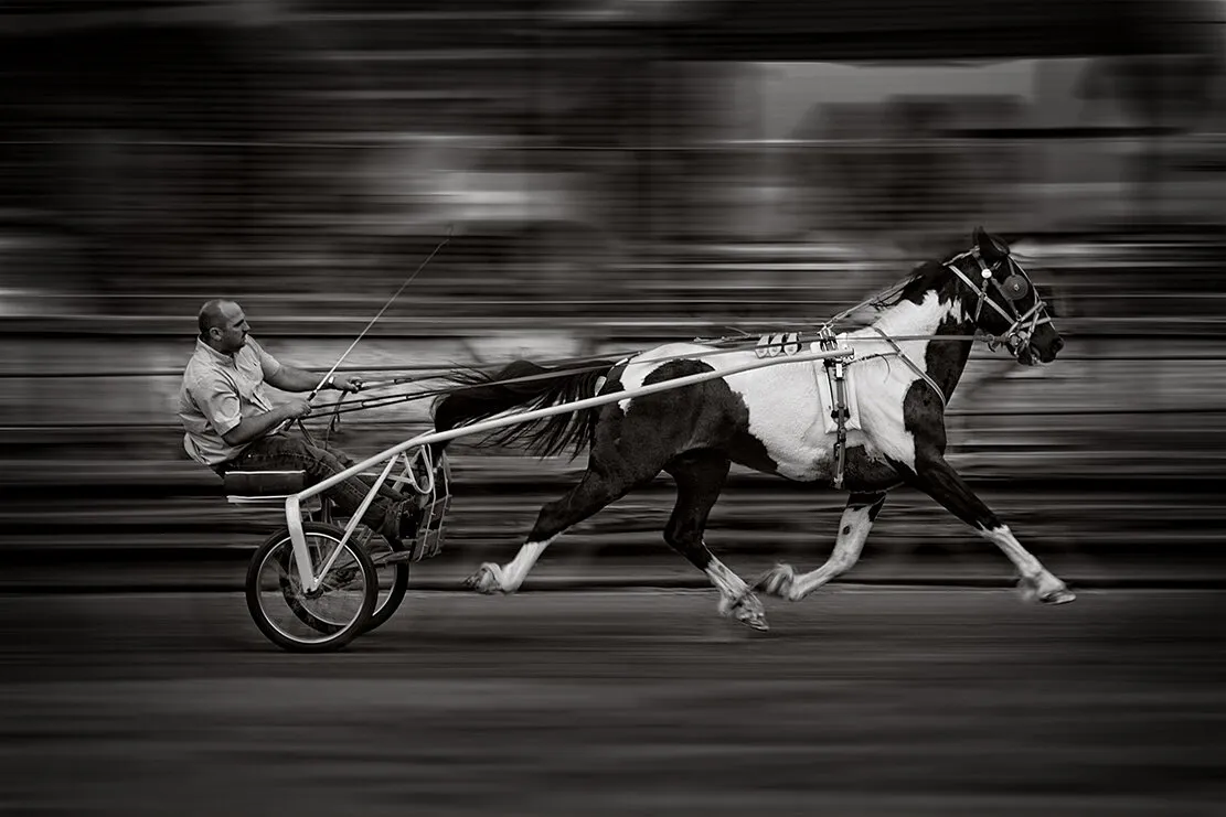 Trotting