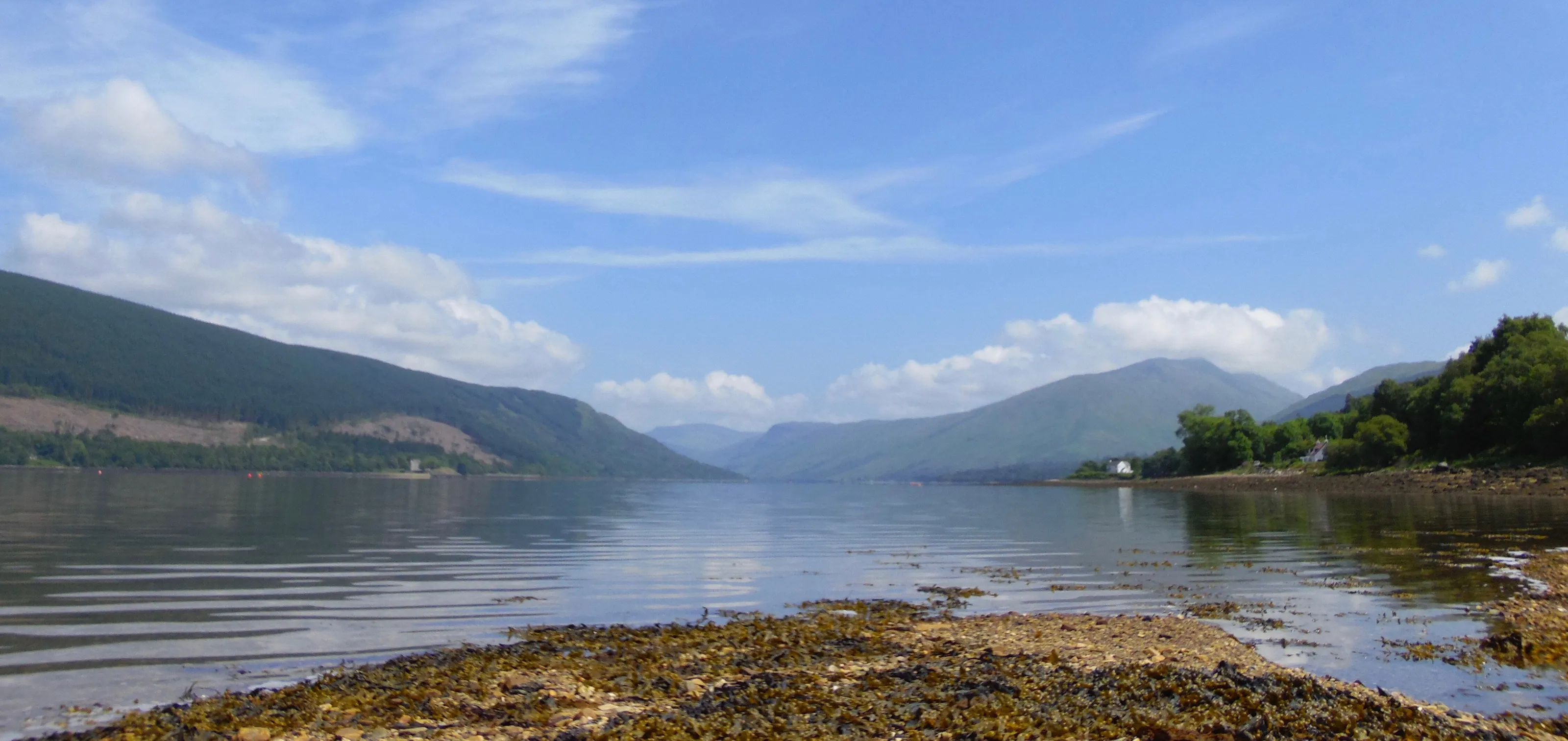 LS - Loch Fyne view