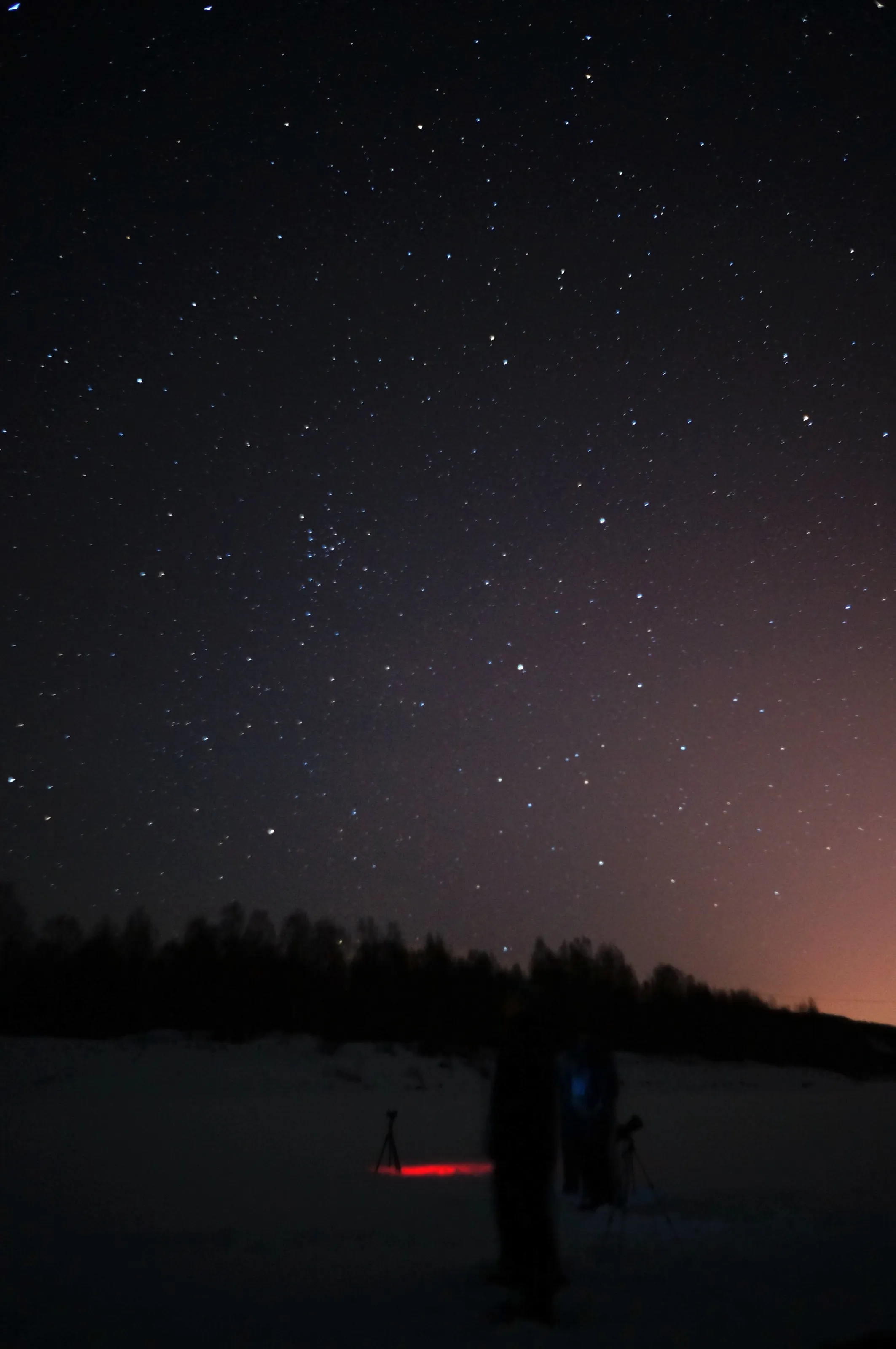 Auroragrazers & Leo / 黃雀在後
