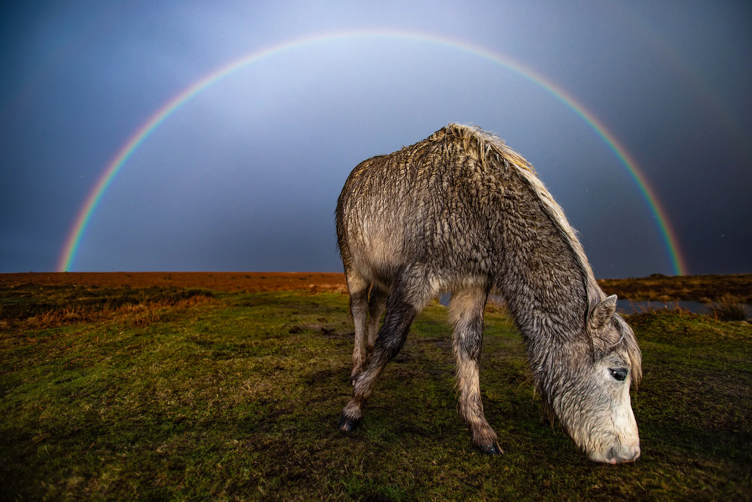 Under The Rainbow