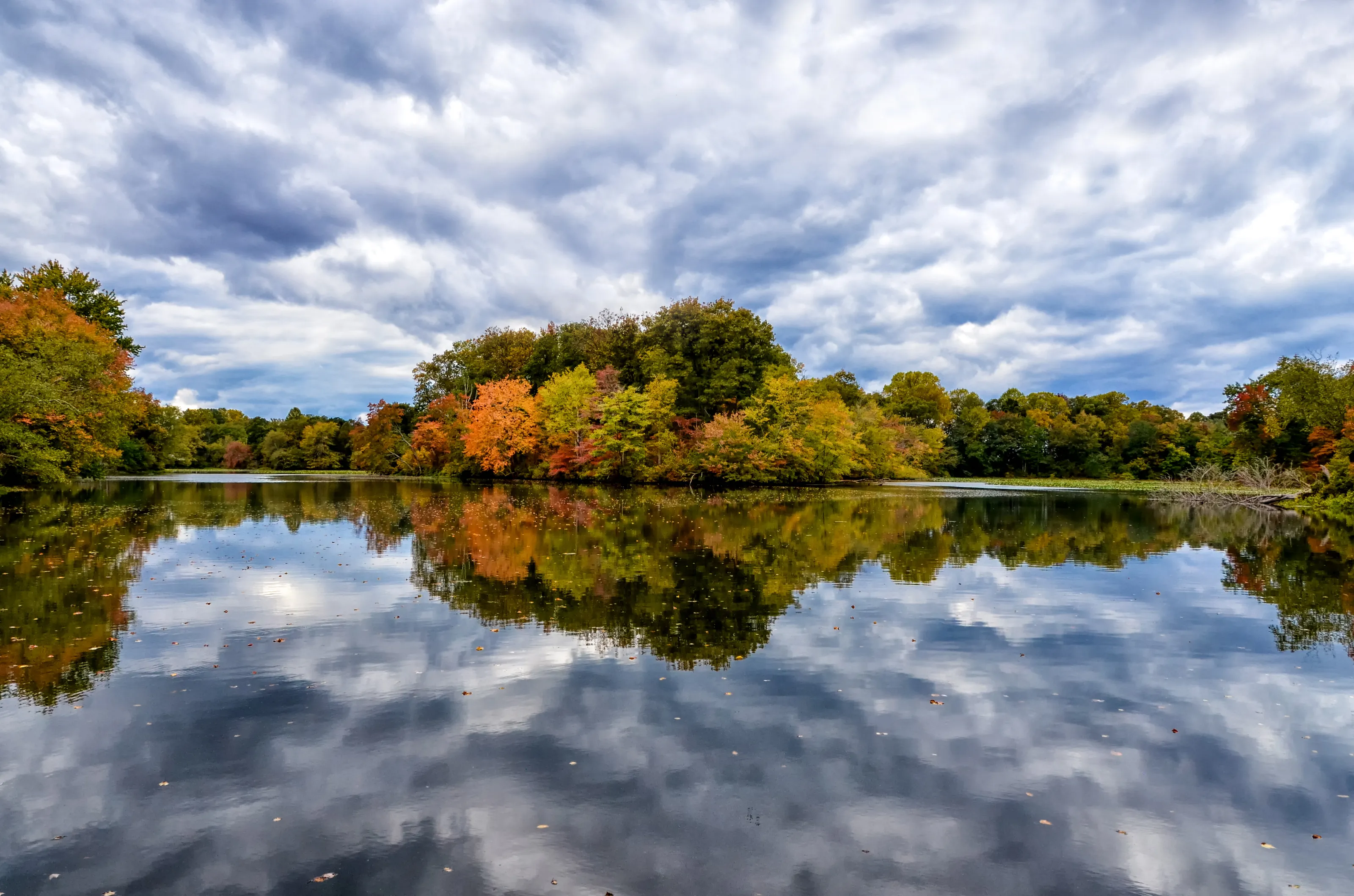 Autumn Reflections, Rural Landscape