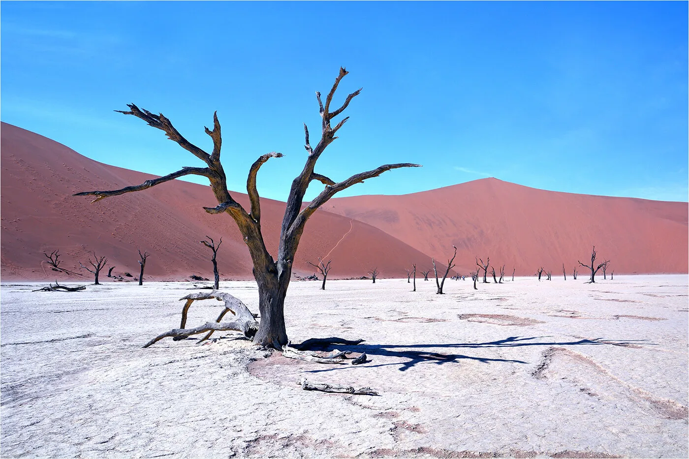 Deadvlei