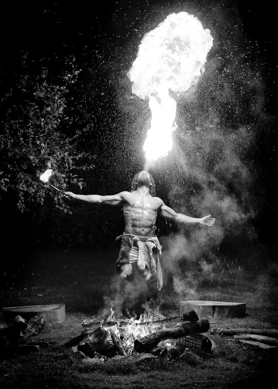 Entry 8683669