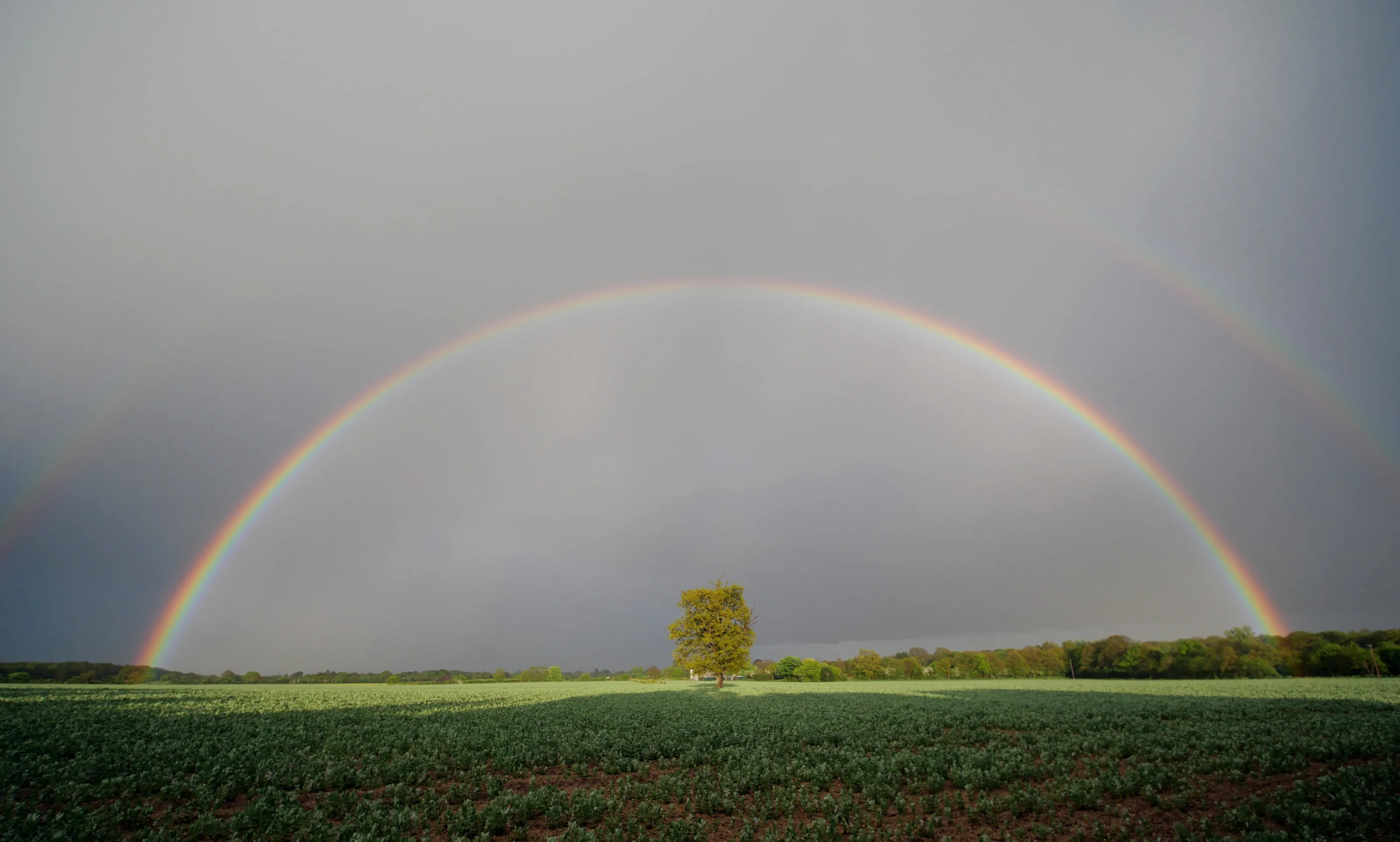 Rainbow Clap for NHS Hero's