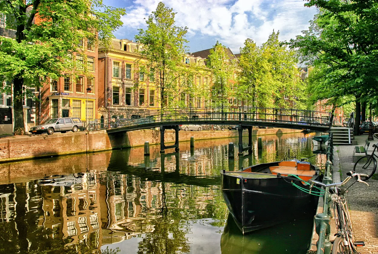 Entry 6821669