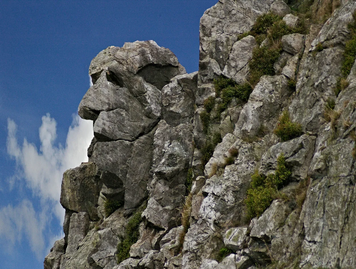 Entry 7323478