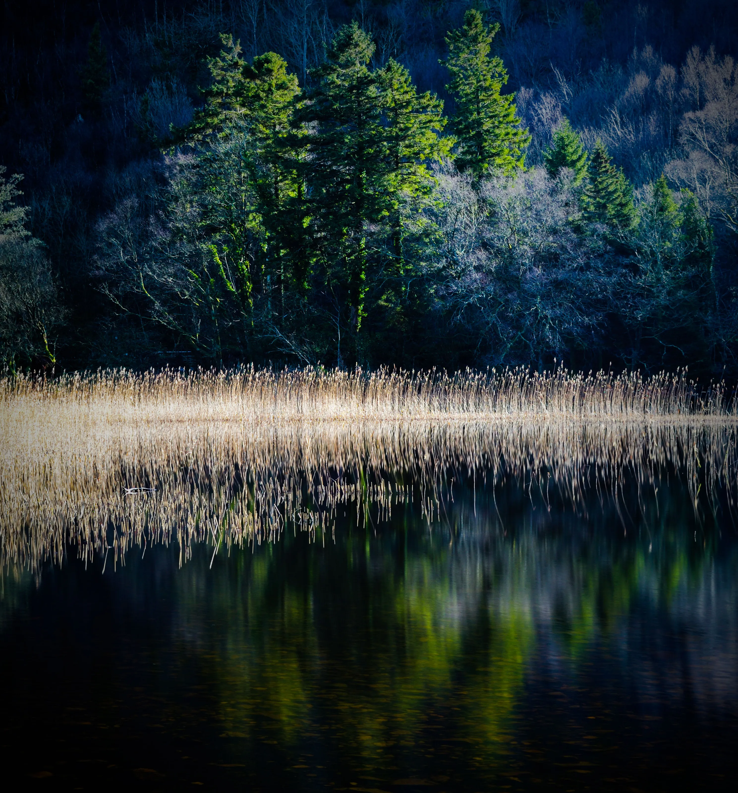 Llyn Gwernan
