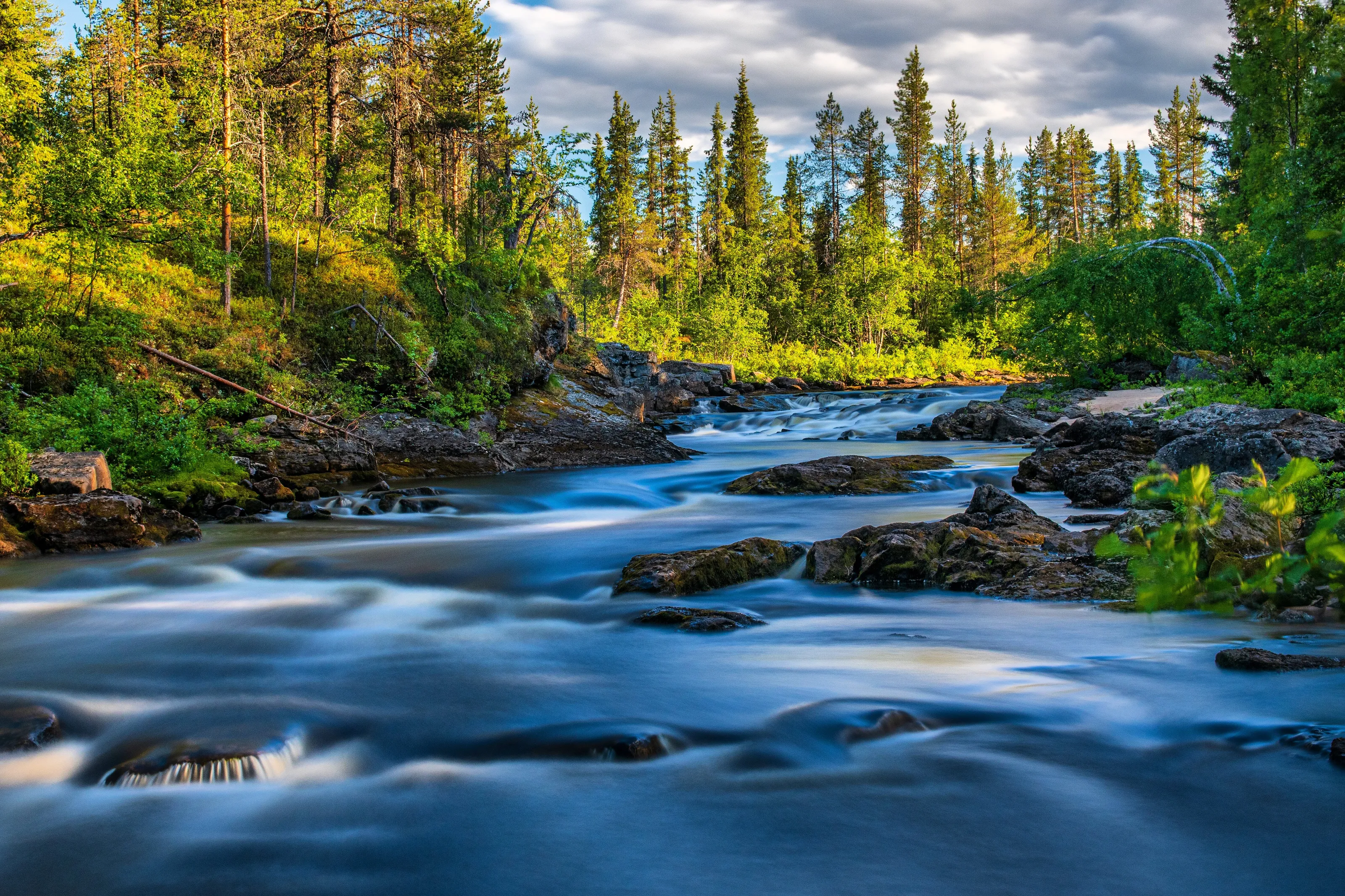Forest river