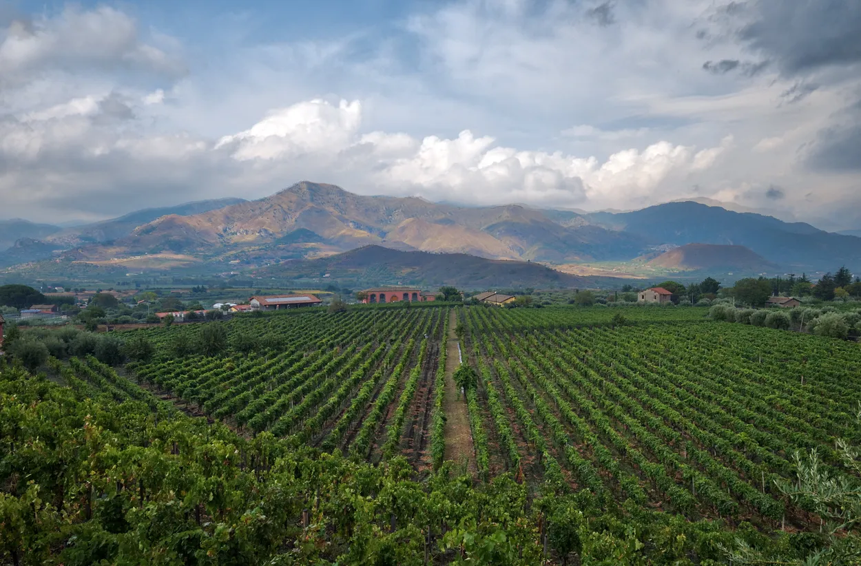 Entry 6835285