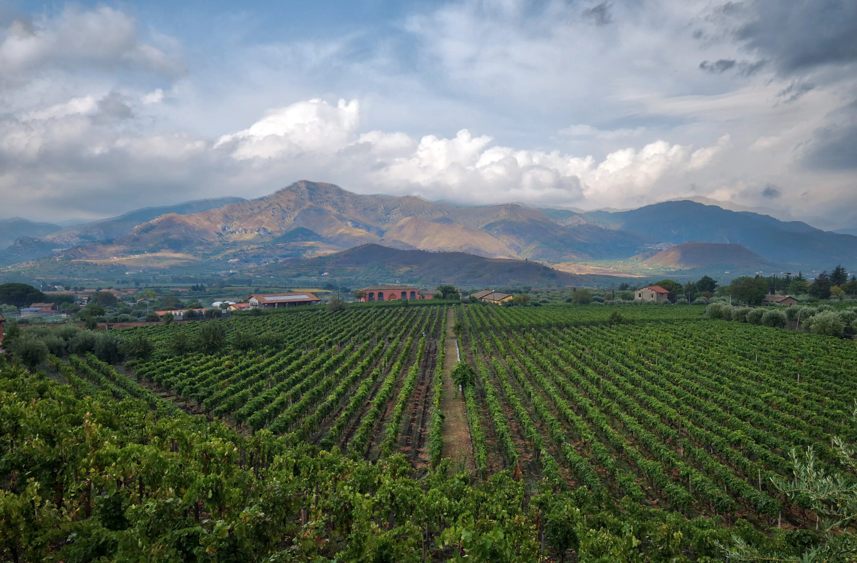 Tenuta delle Terre Nere