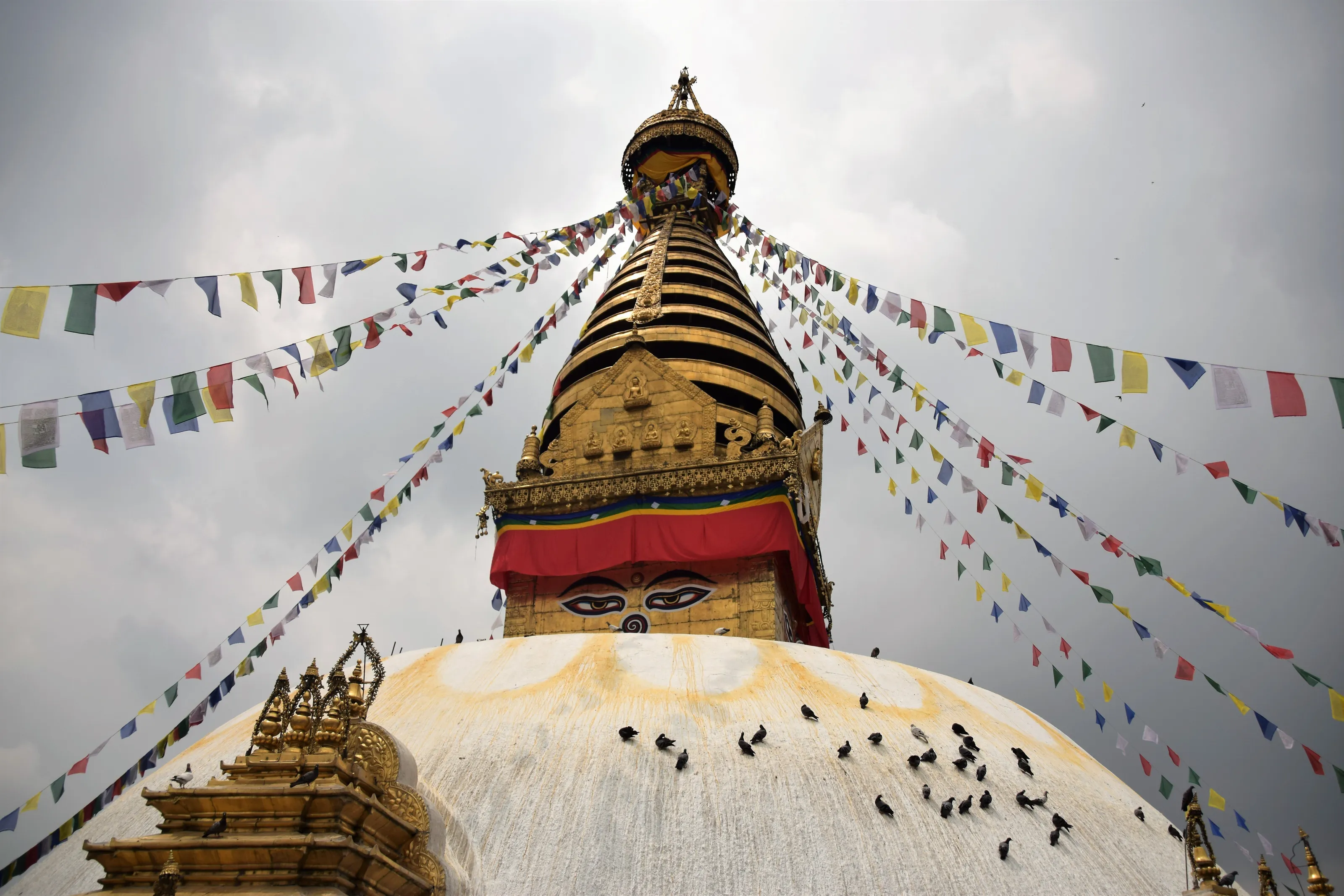 Monkey Temple
