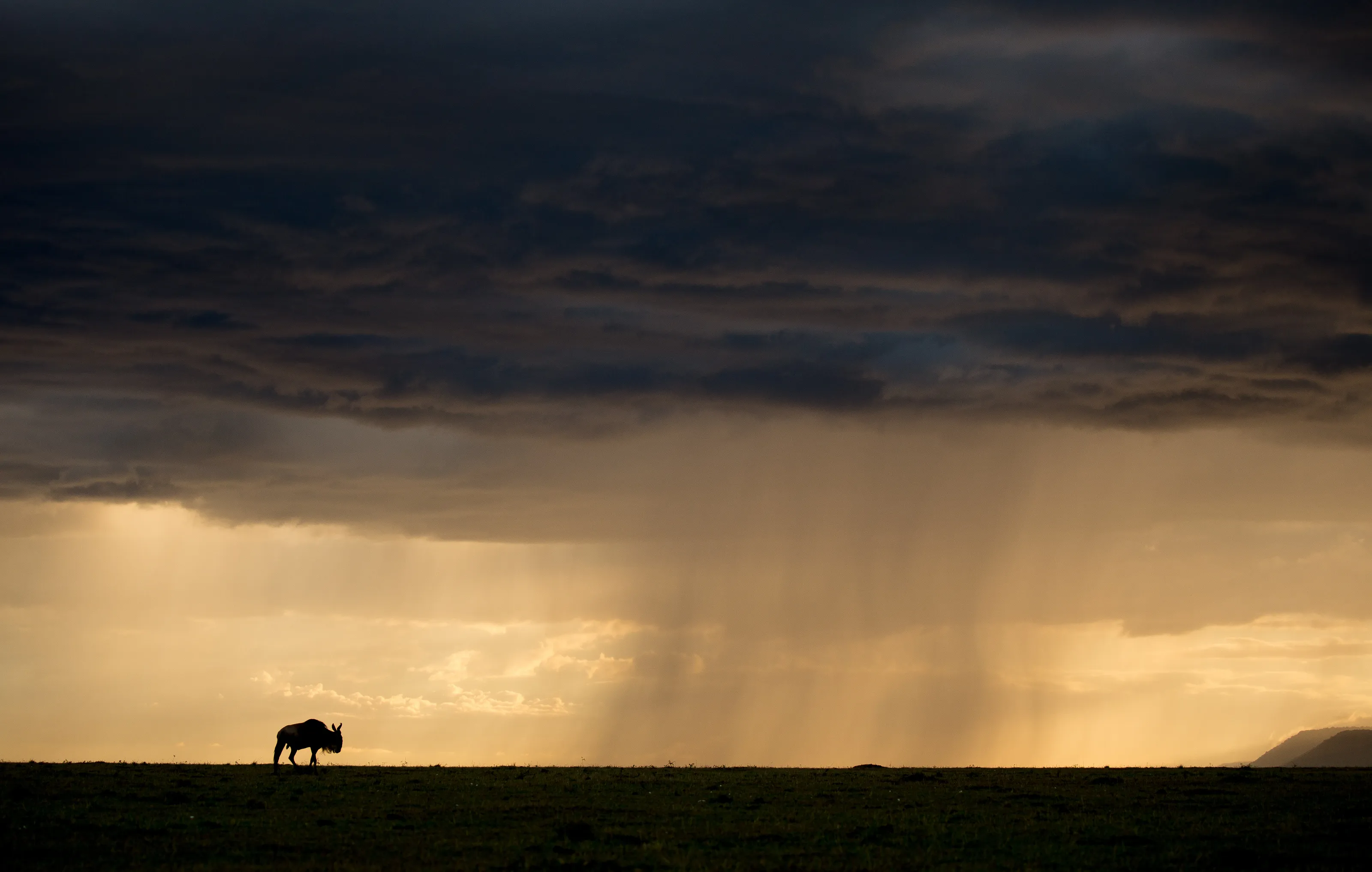 Heading into a Storm